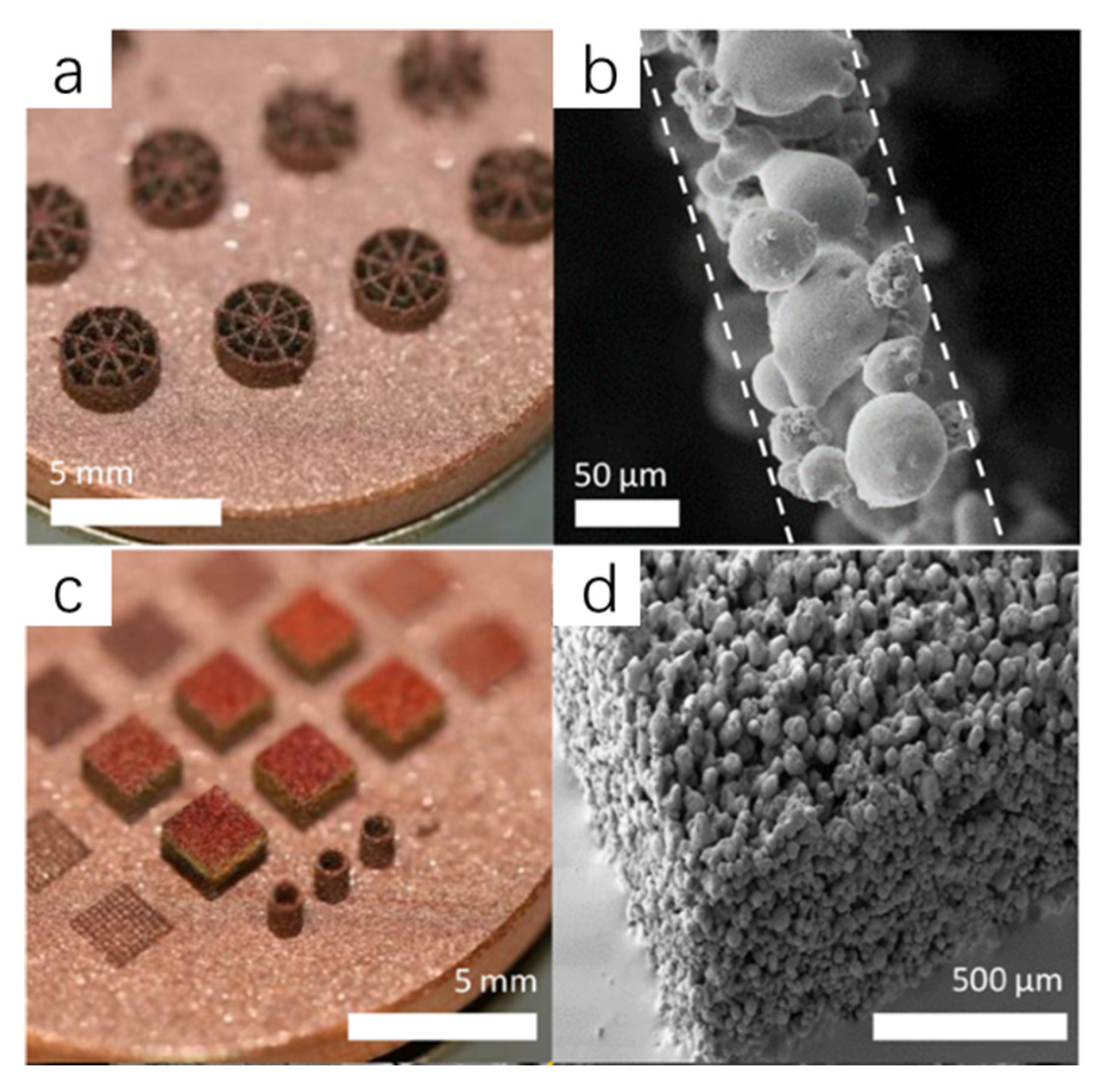 Coatings 11 00740 g007