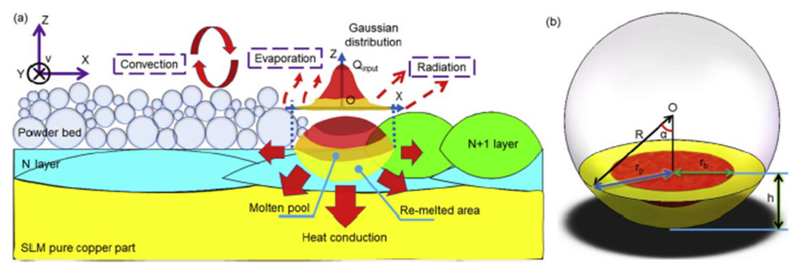 Coatings 11 00740 g012