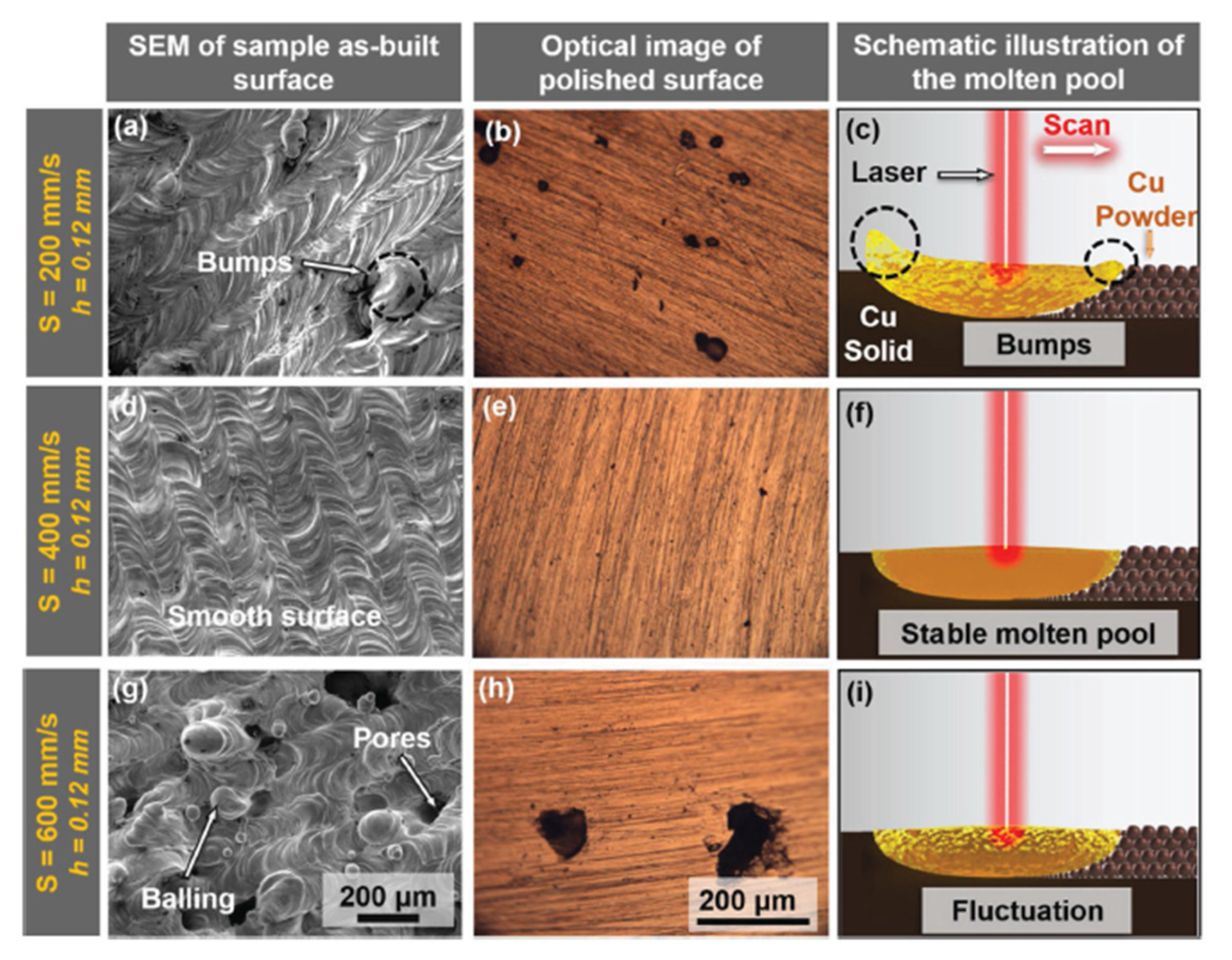 Coatings 11 00740 g013