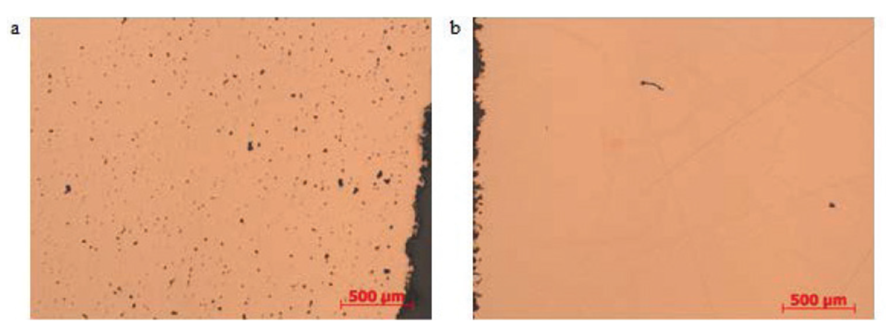 Coatings 11 00740 g017