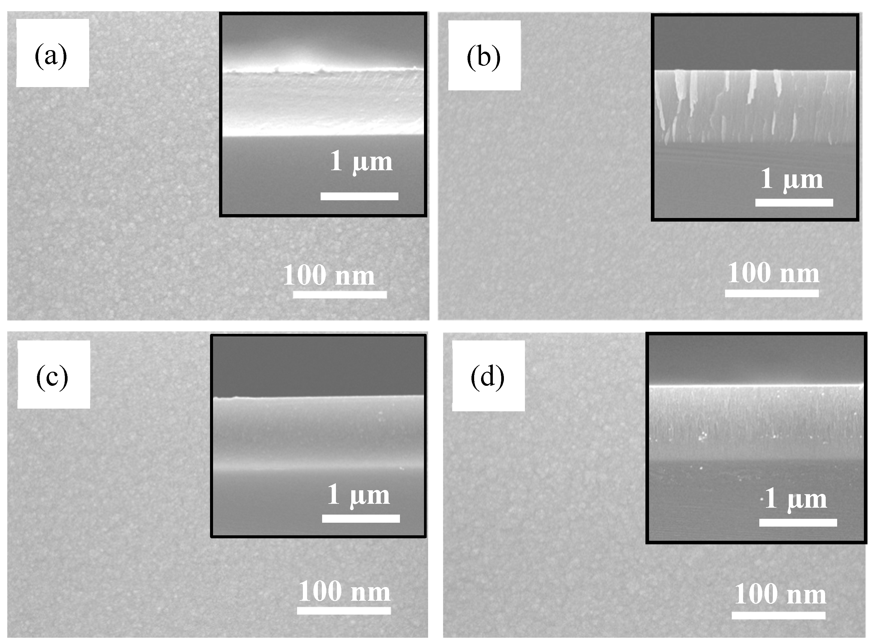 Coatings 11 00752 g001