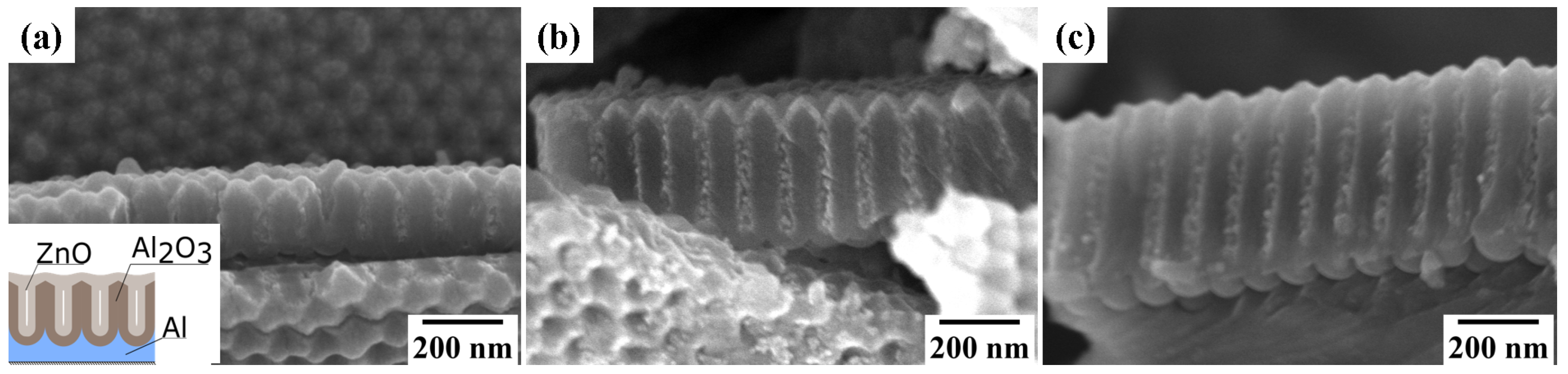 Coatings 11 00756 g001 Coatings 11 00756 g001
