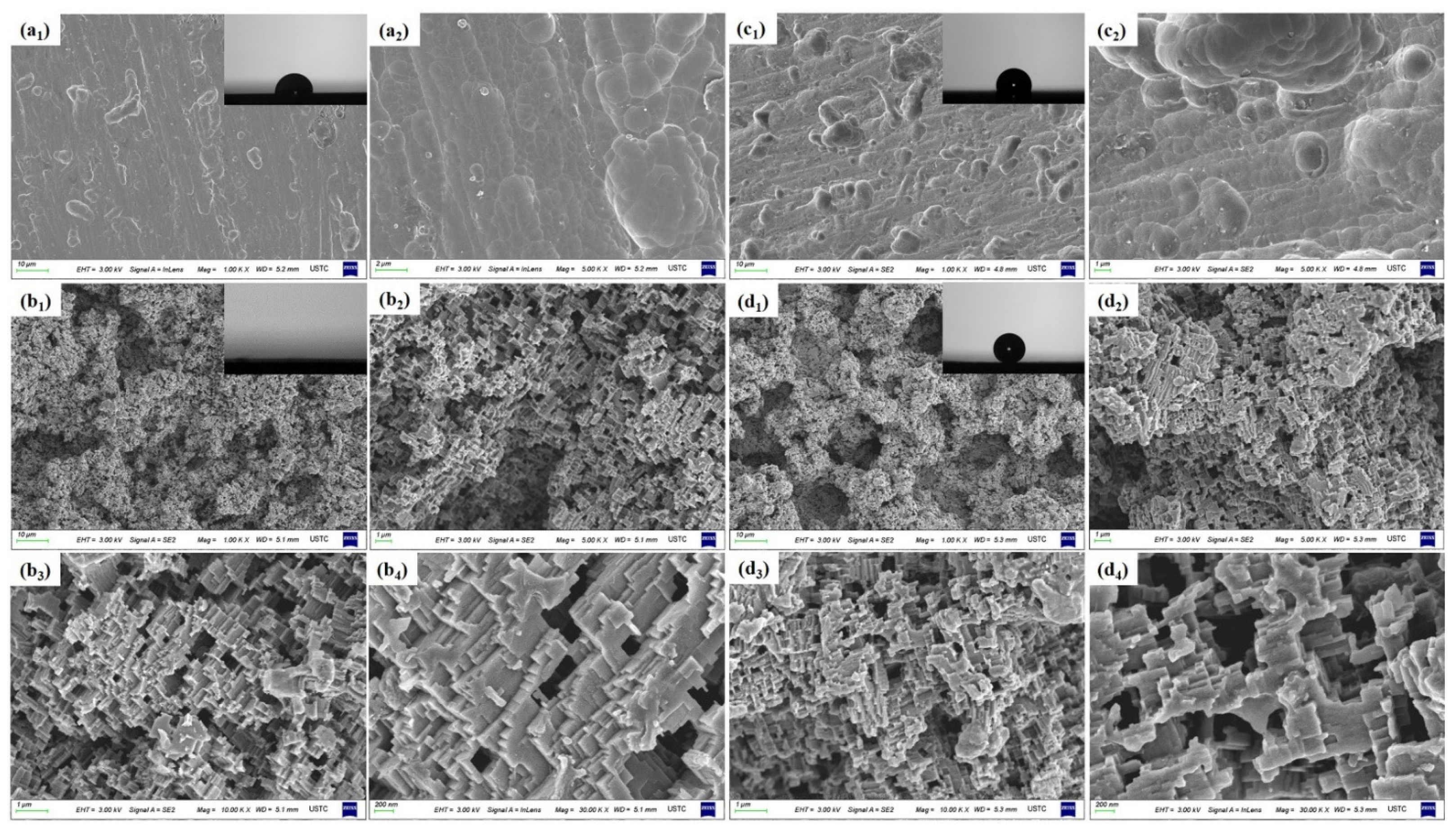 Coatings 11 00788 g003