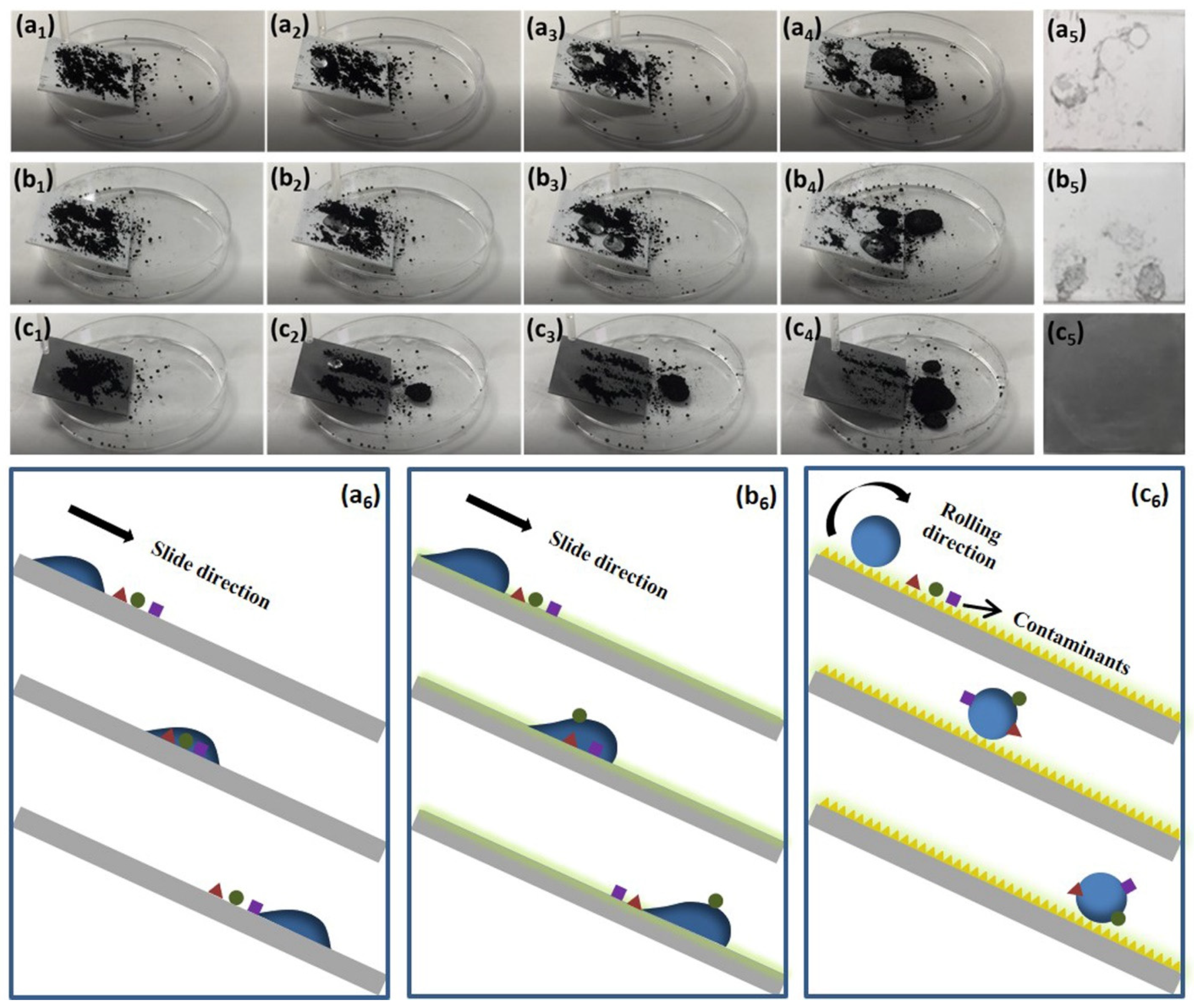 Coatings 11 00788 g006