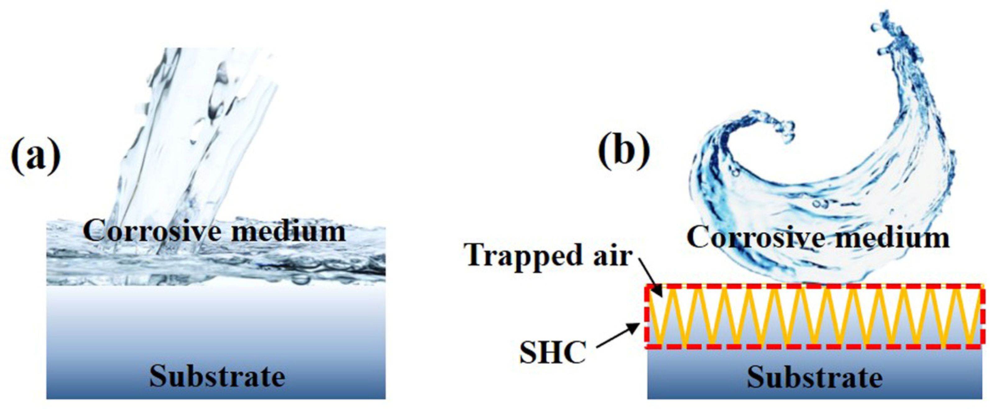 Coatings 11 00788 g010