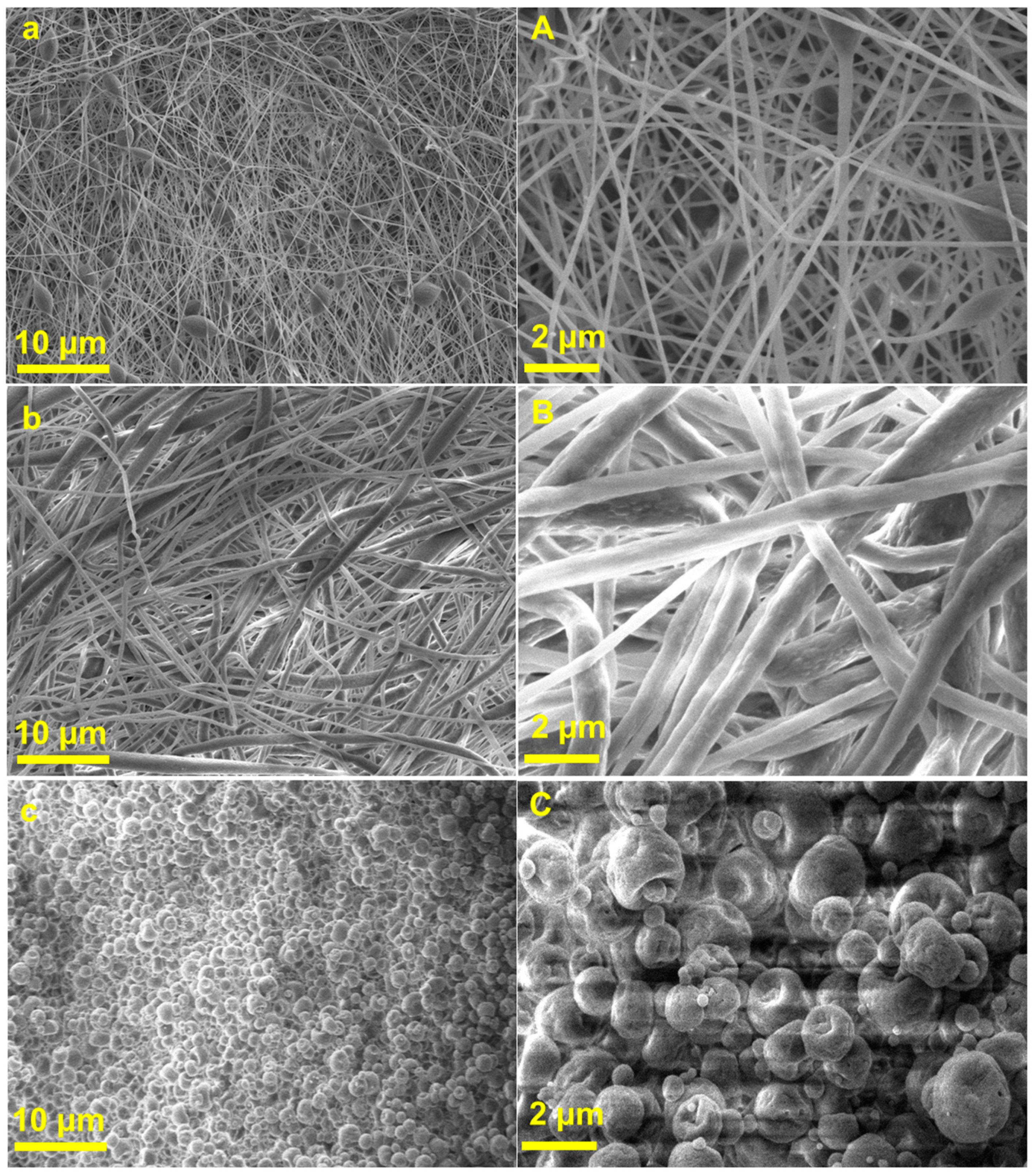 Coatings 11 00790 g001