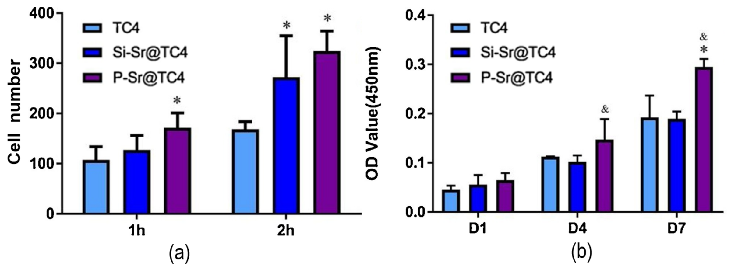 Coatings 11 00791 g002