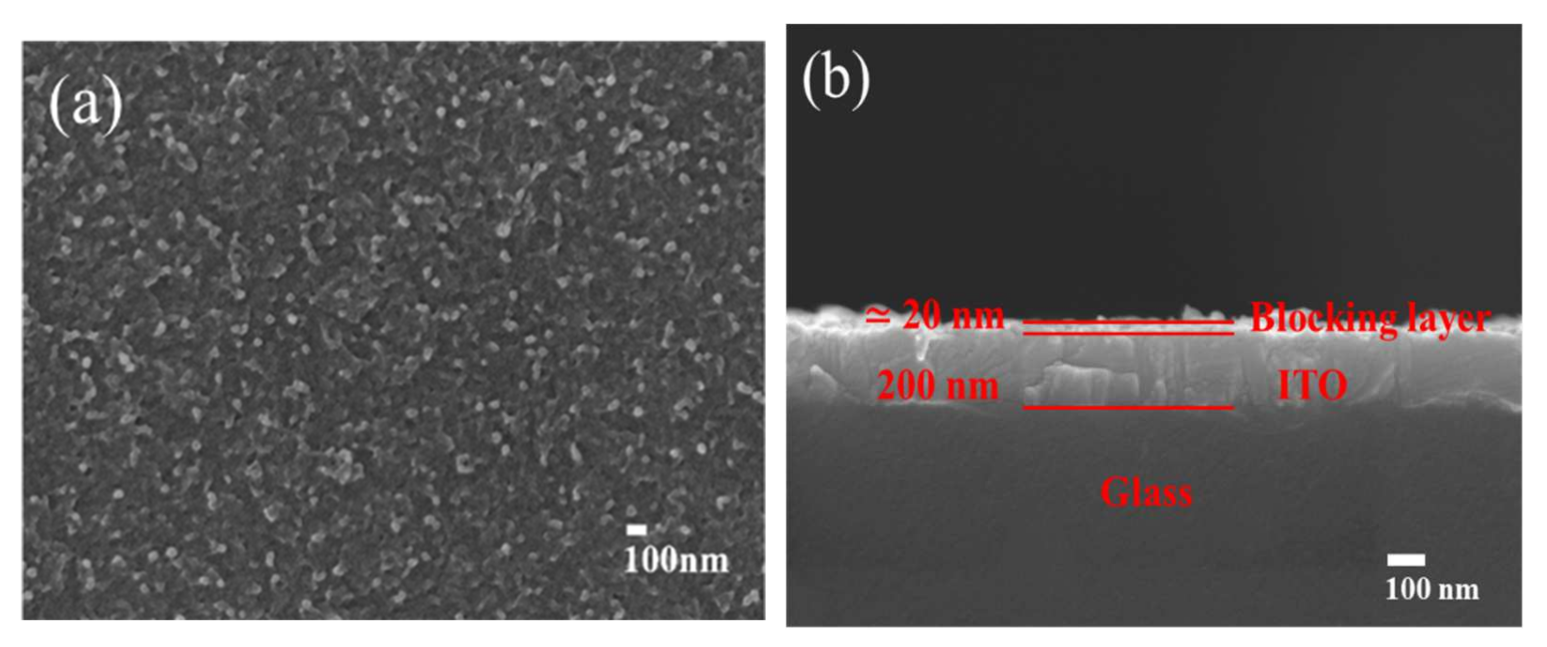 Coatings 11 00796 g002