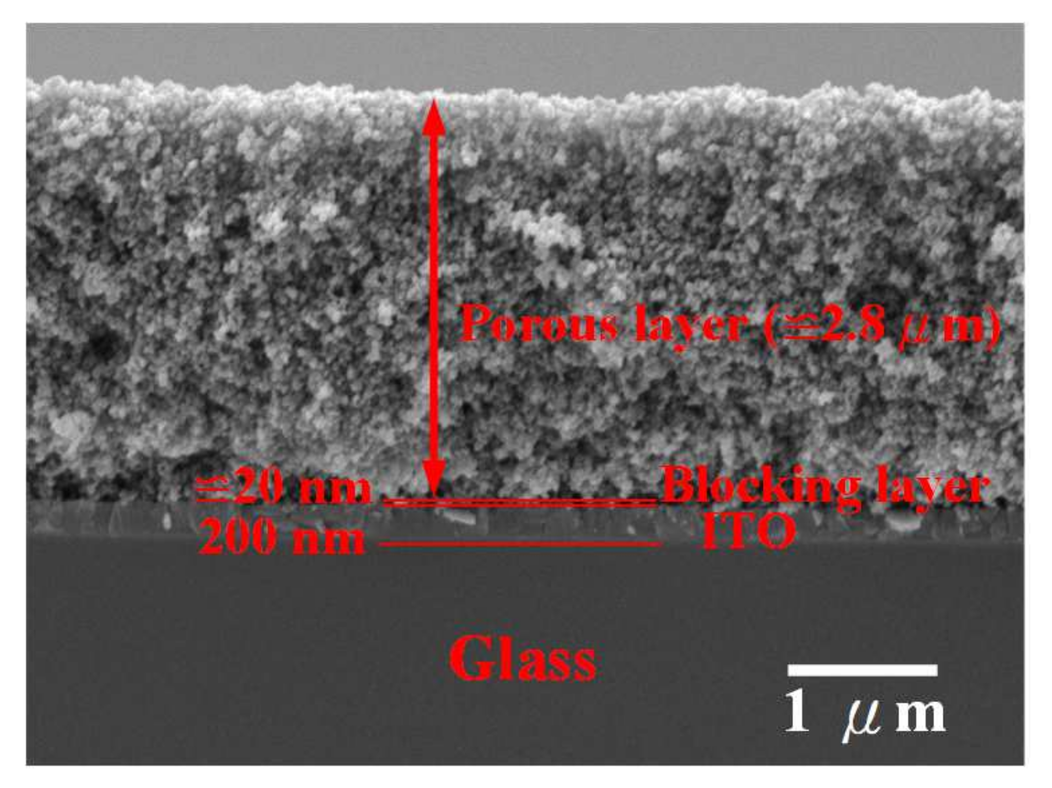 Coatings 11 00796 g005