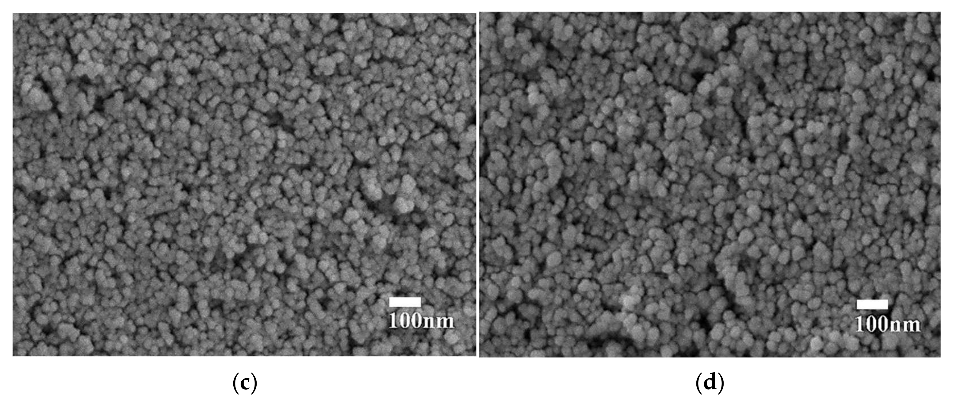 Coatings 11 00796 g006b