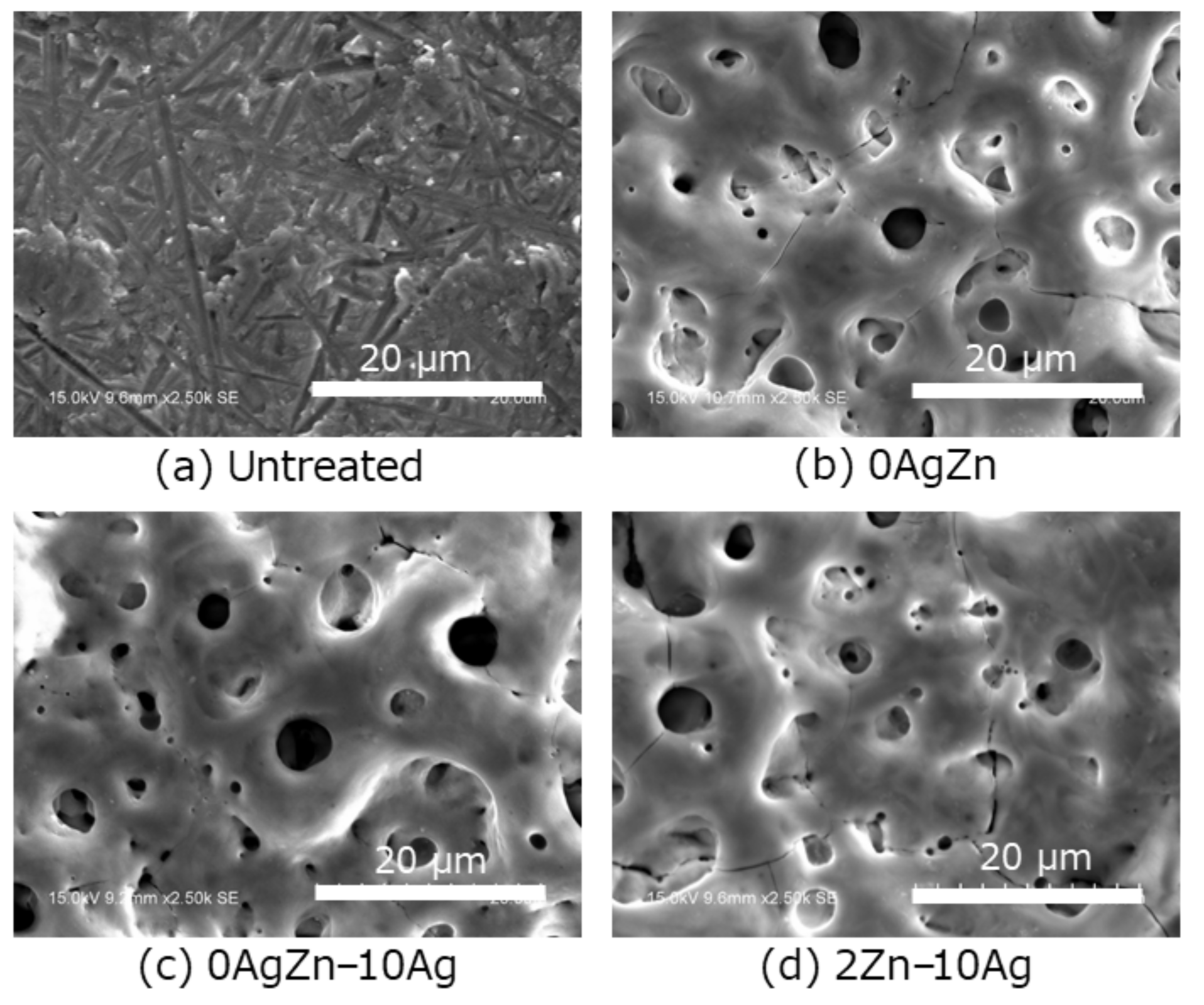 Coatings 11 00798 g001 Coatings 11 00798 g001
