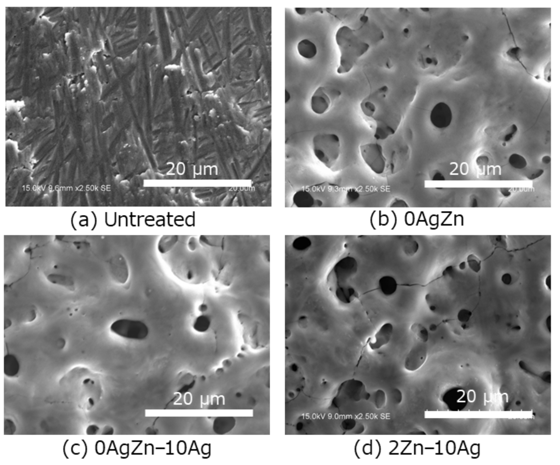 Coatings 11 00798 g002 Coatings 11 00798 g002