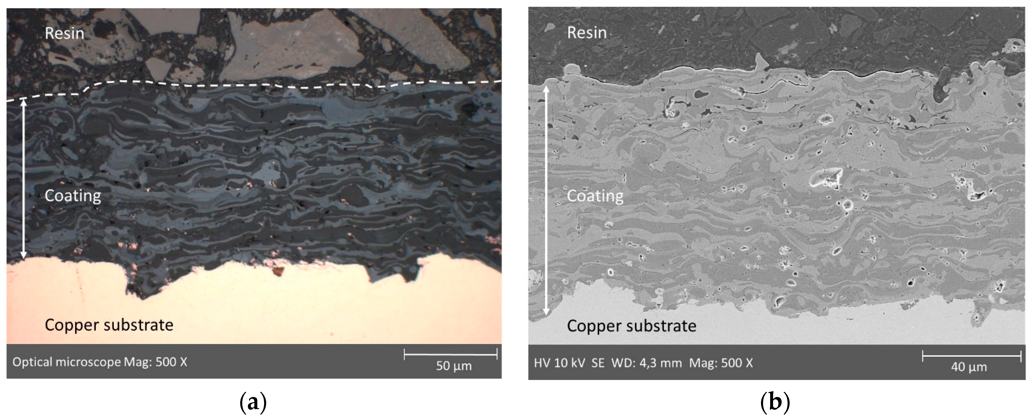 Coatings 11 00801 g009