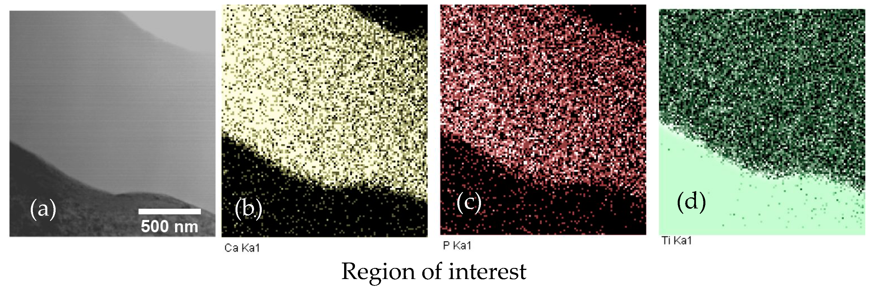 Coatings 11 00809 g005