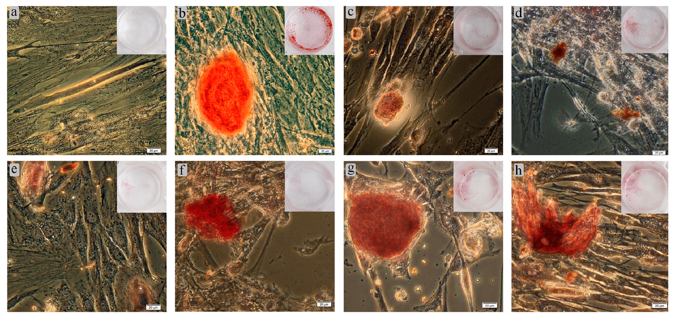 Coatings 11 00809 g014