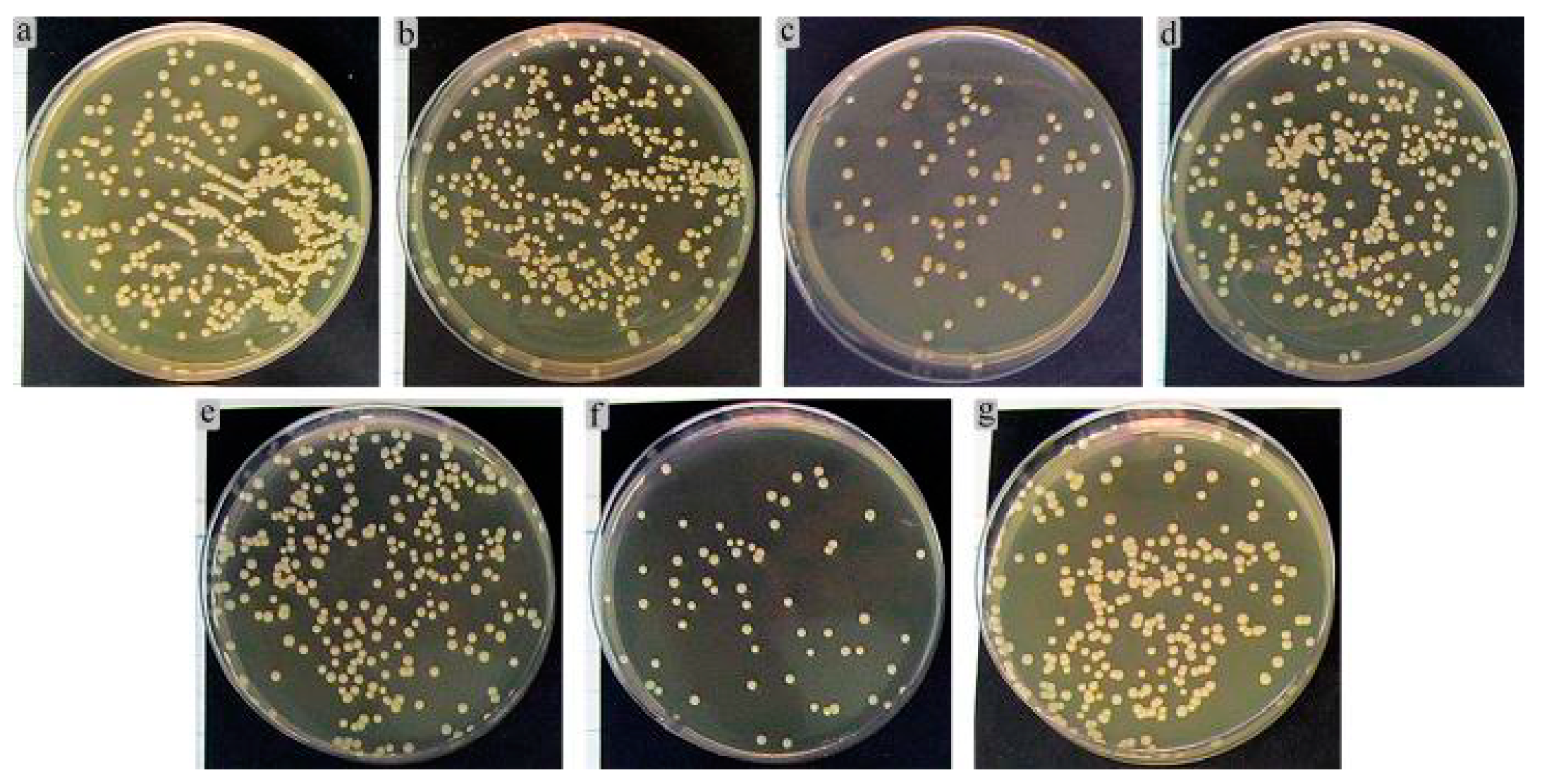 Coatings 11 00809 g015