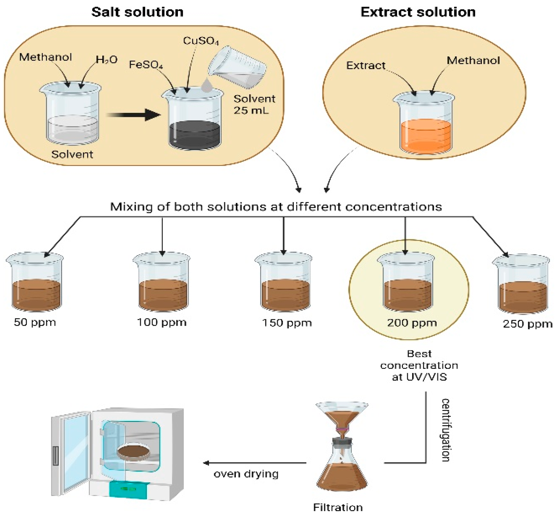 Coatings 11 00813 g001