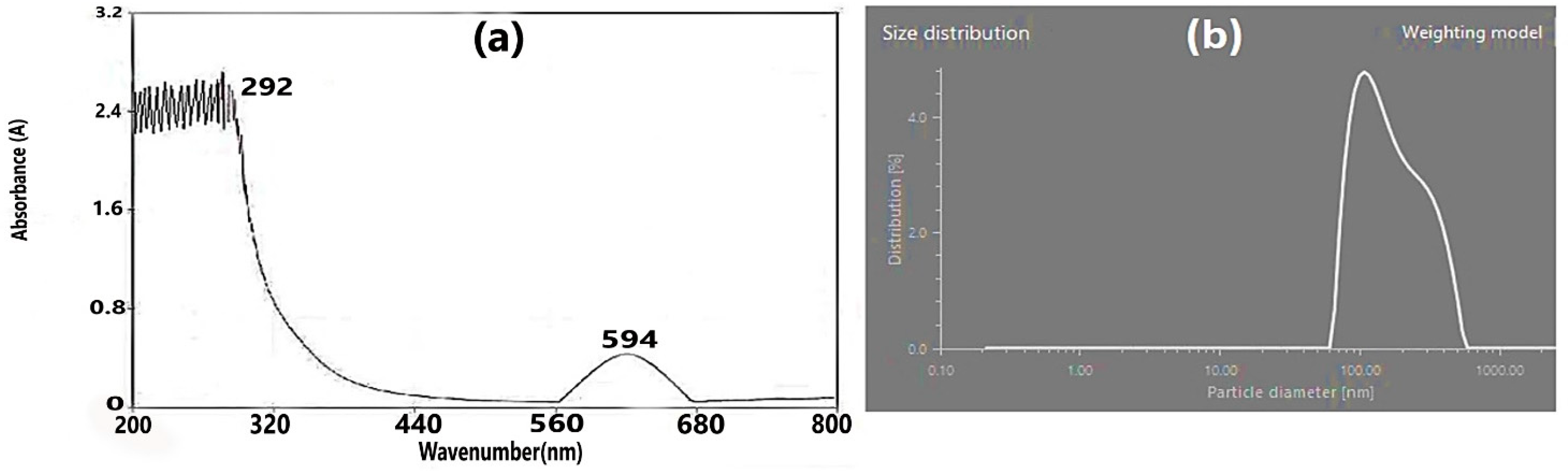 Coatings 11 00813 g002