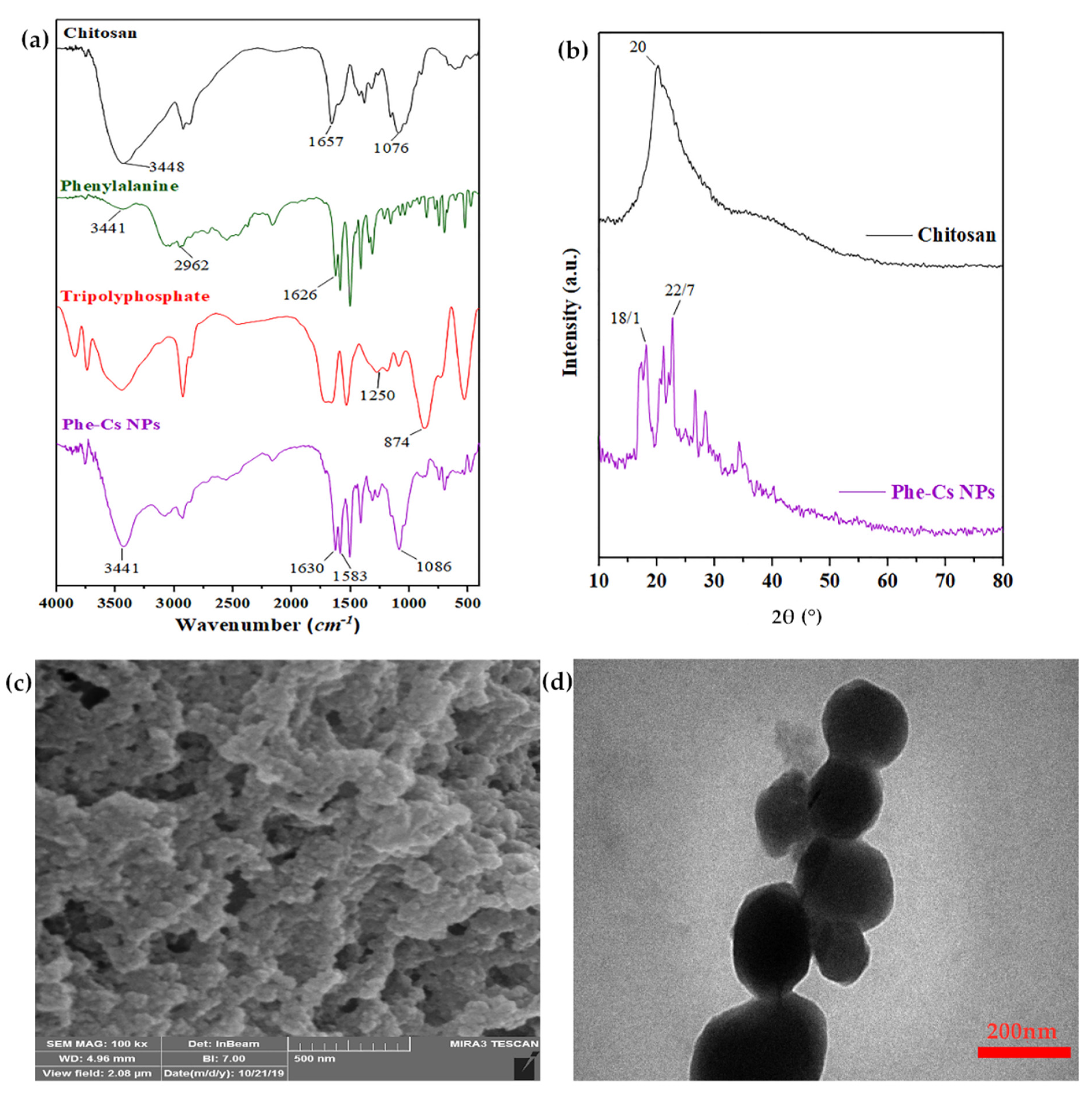 Coatings 11 00819 g001