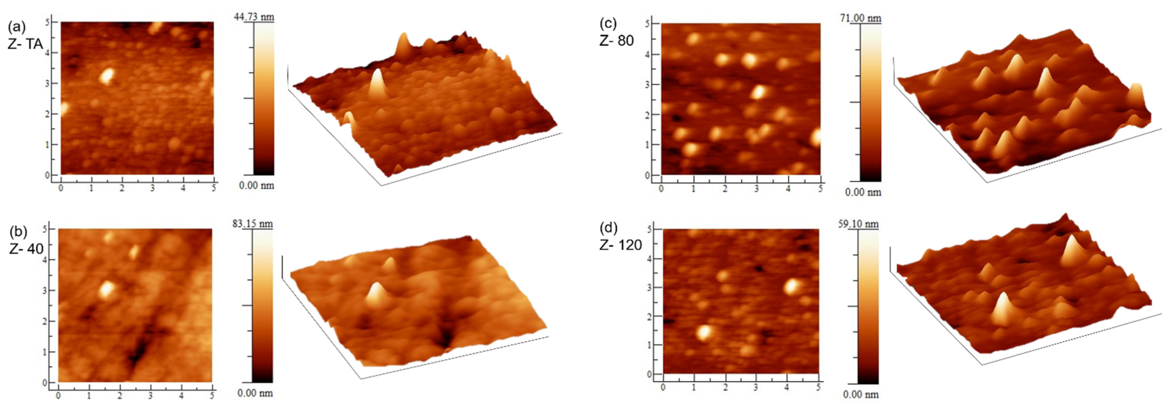 Coatings 11 00821 g003