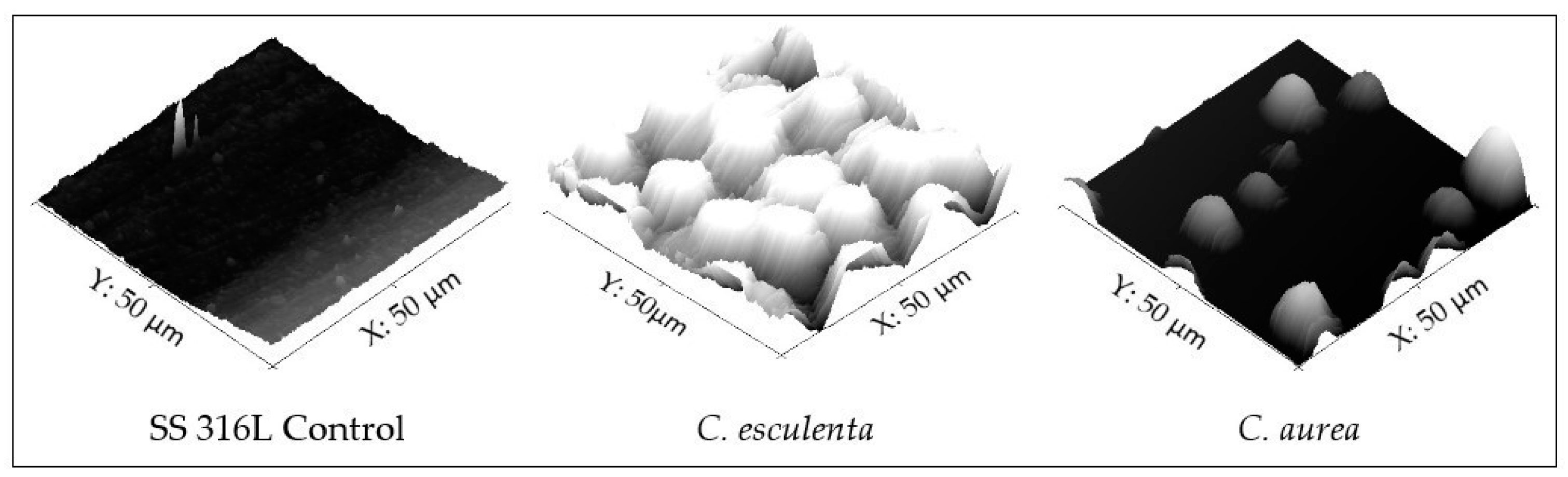 Coatings 11 00829 g001