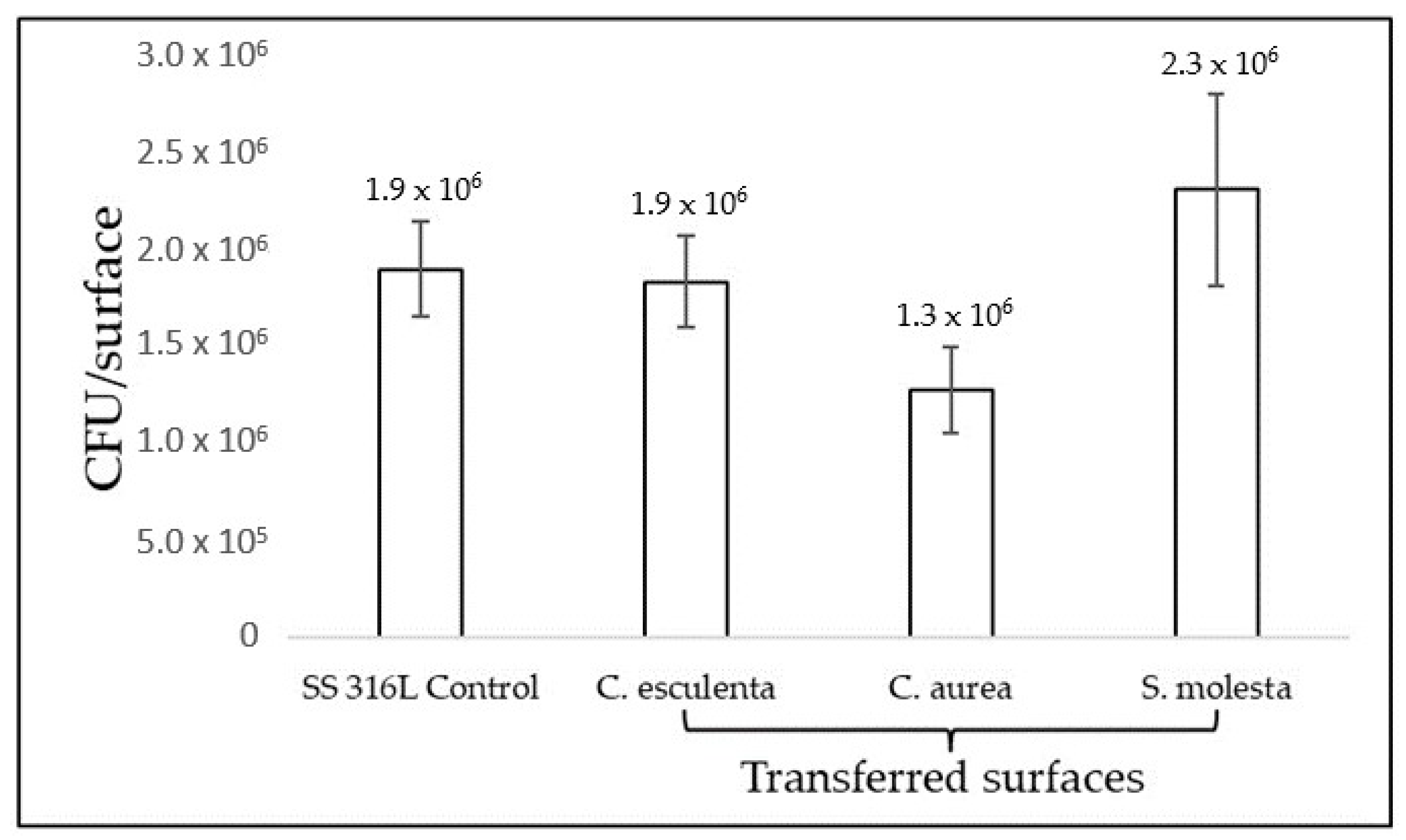 Coatings 11 00829 g006