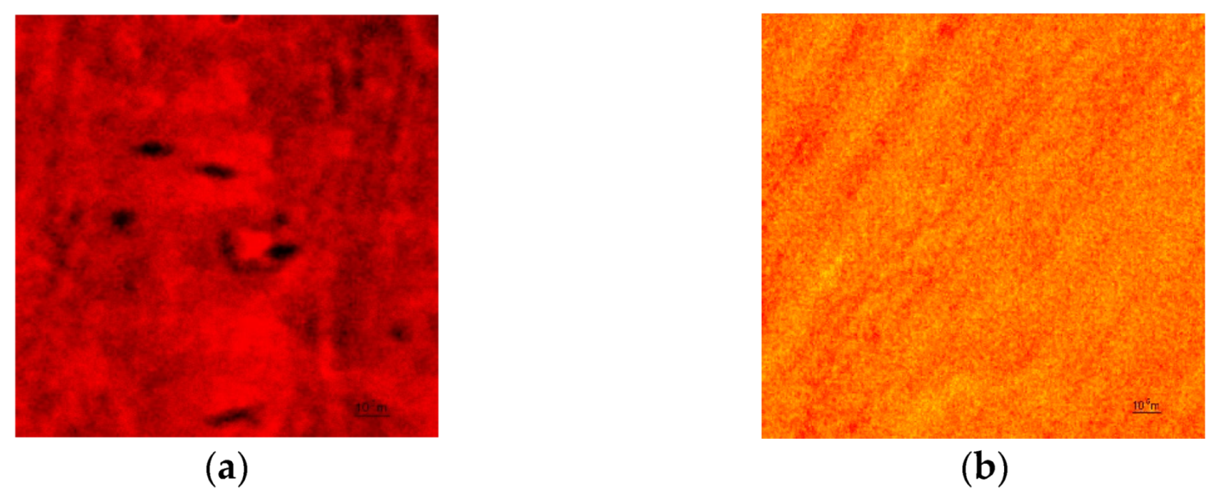 Coatings 11 00830 g004