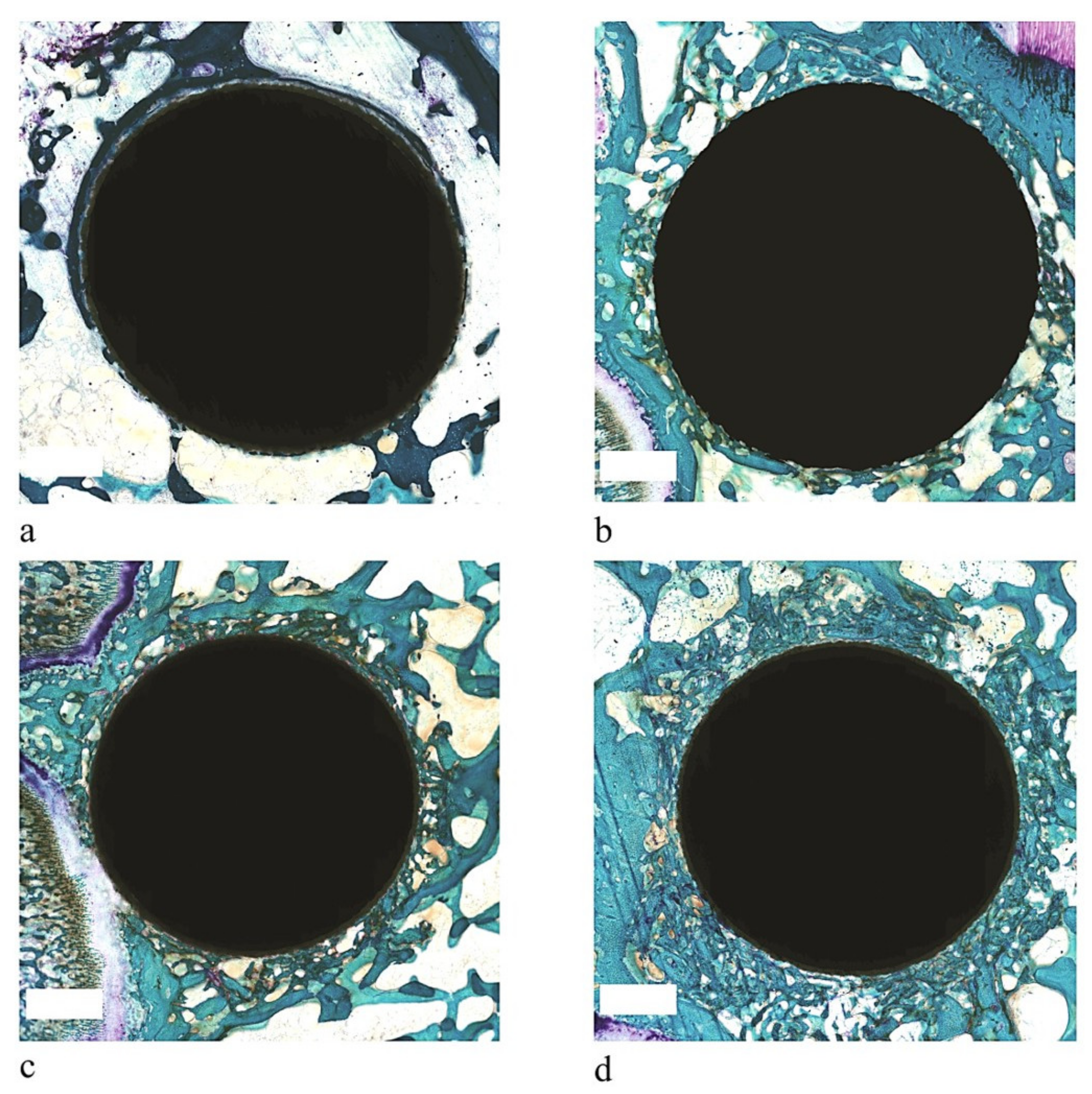 Coatings 11 00840 g001