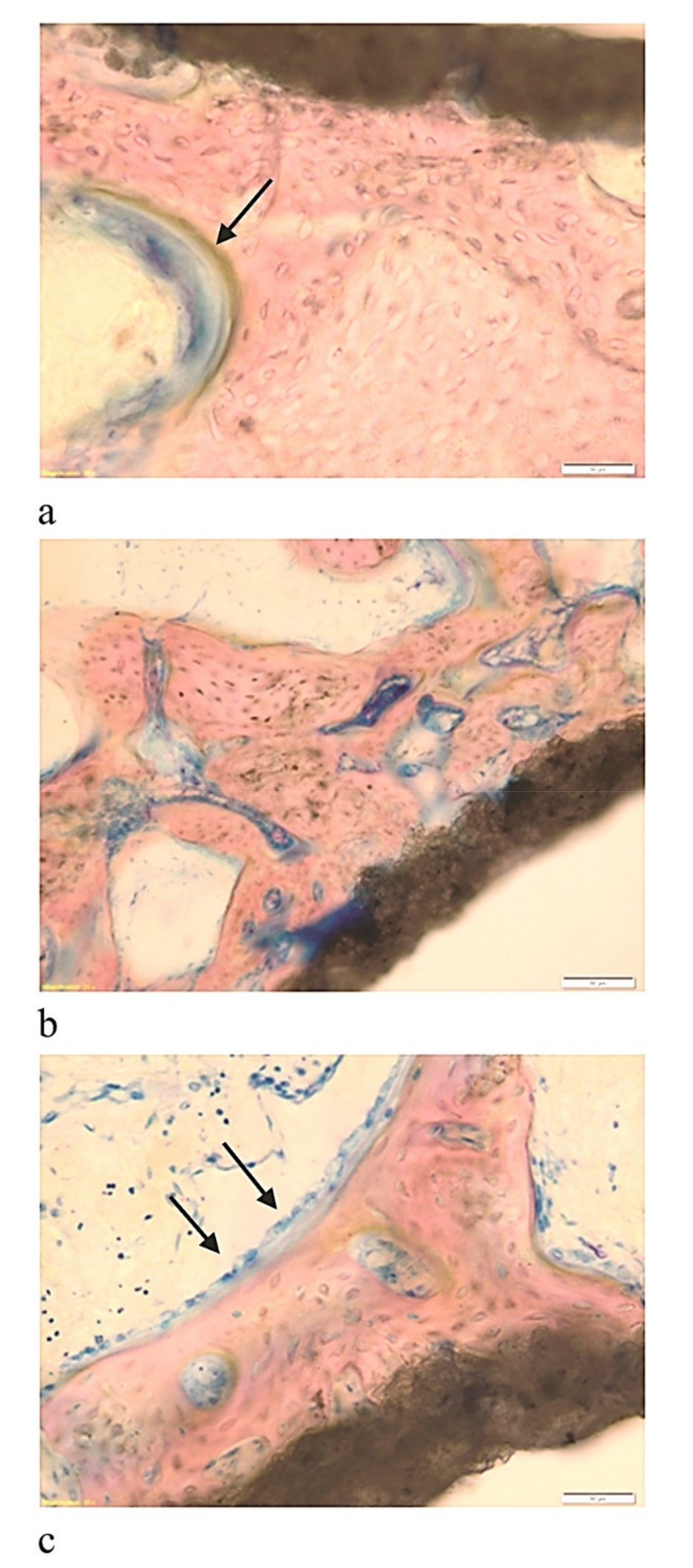 Coatings 11 00840 g002