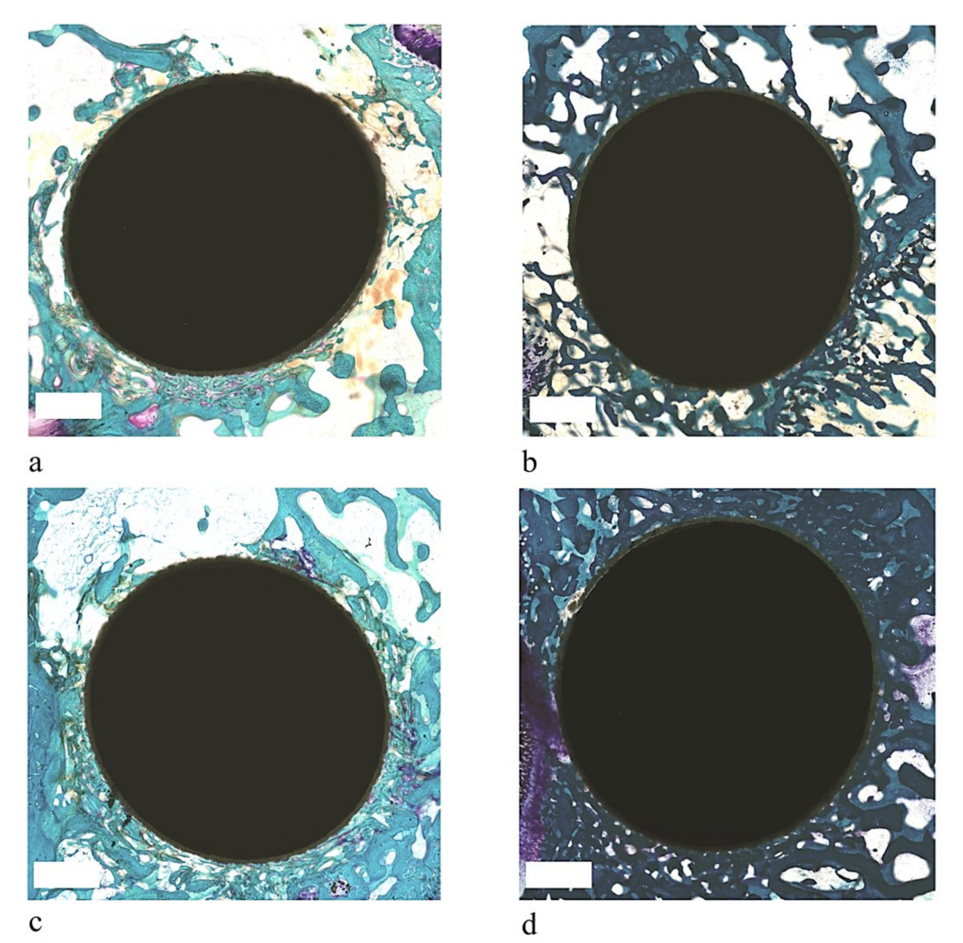 Coatings 11 00840 g003