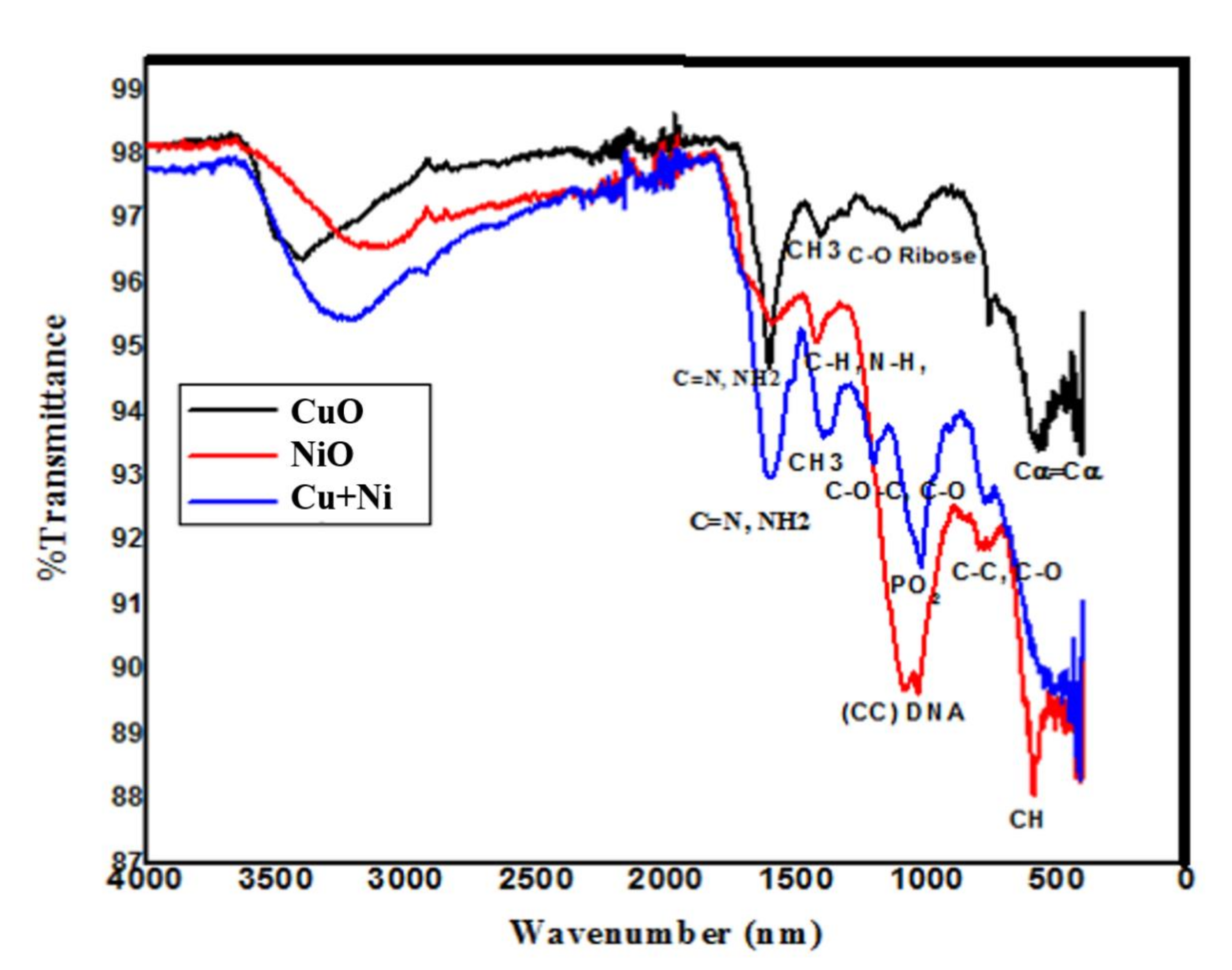 Coatings 11 00849 g002