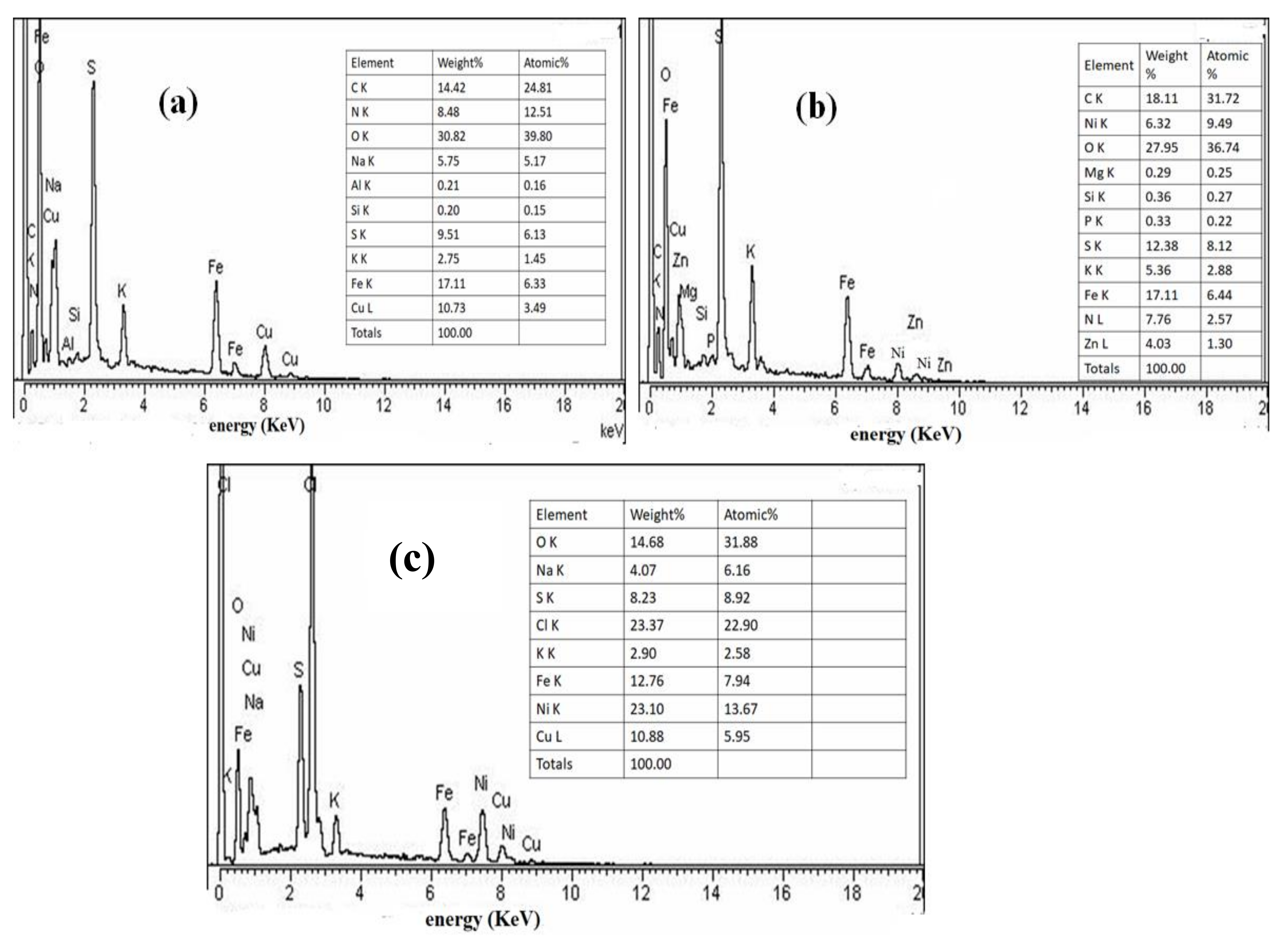 Coatings 11 00849 g005
