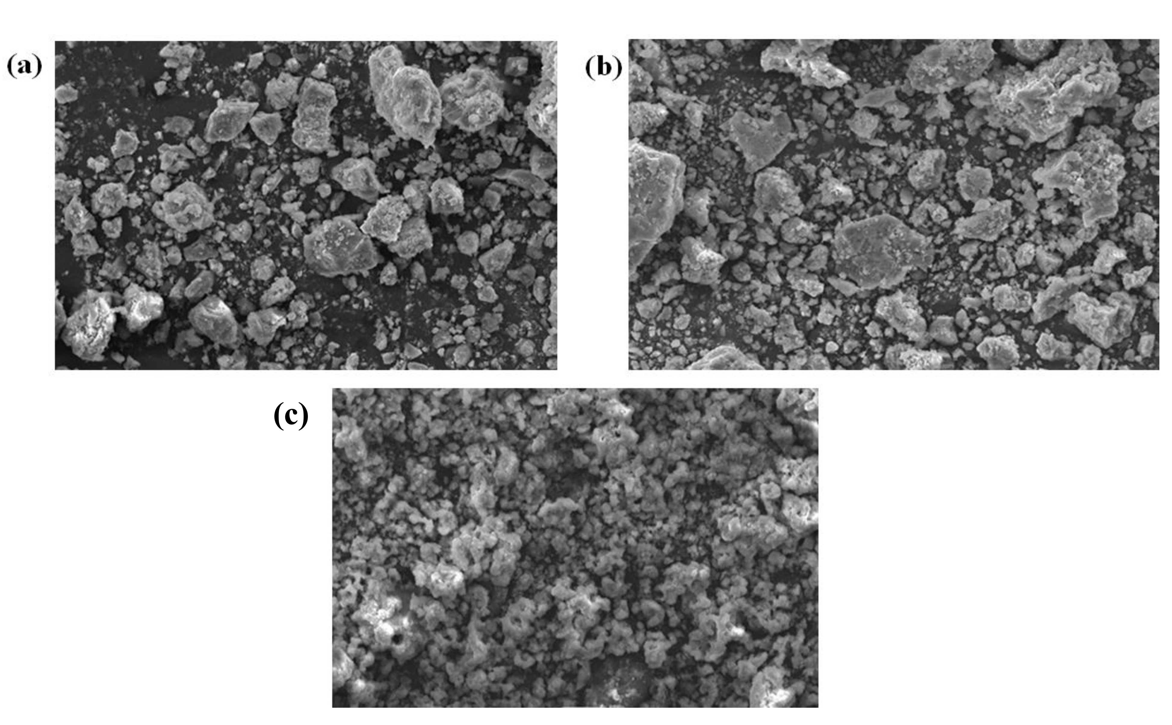 Coatings 11 00849 g006