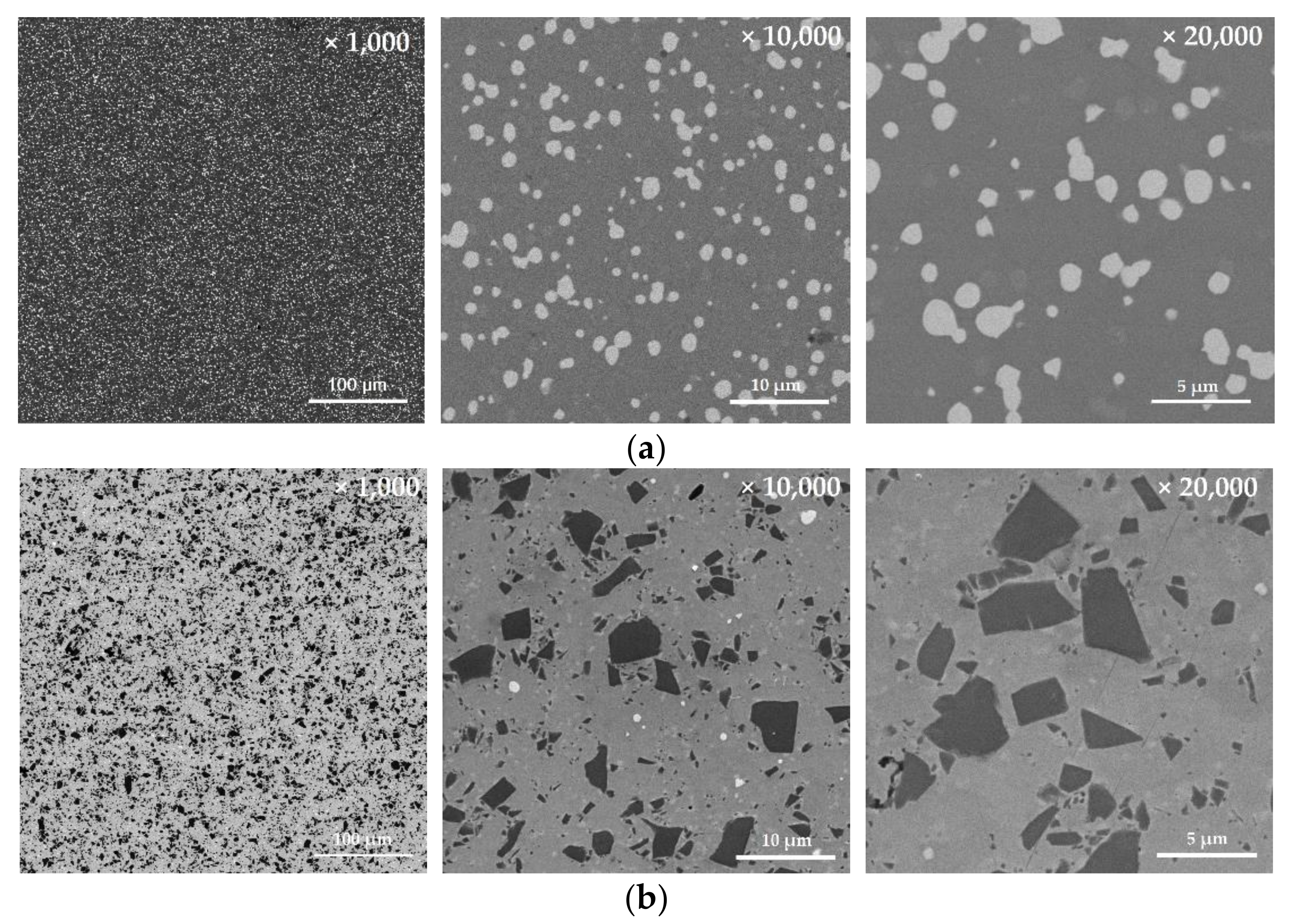 Coatings 11 00855 g005