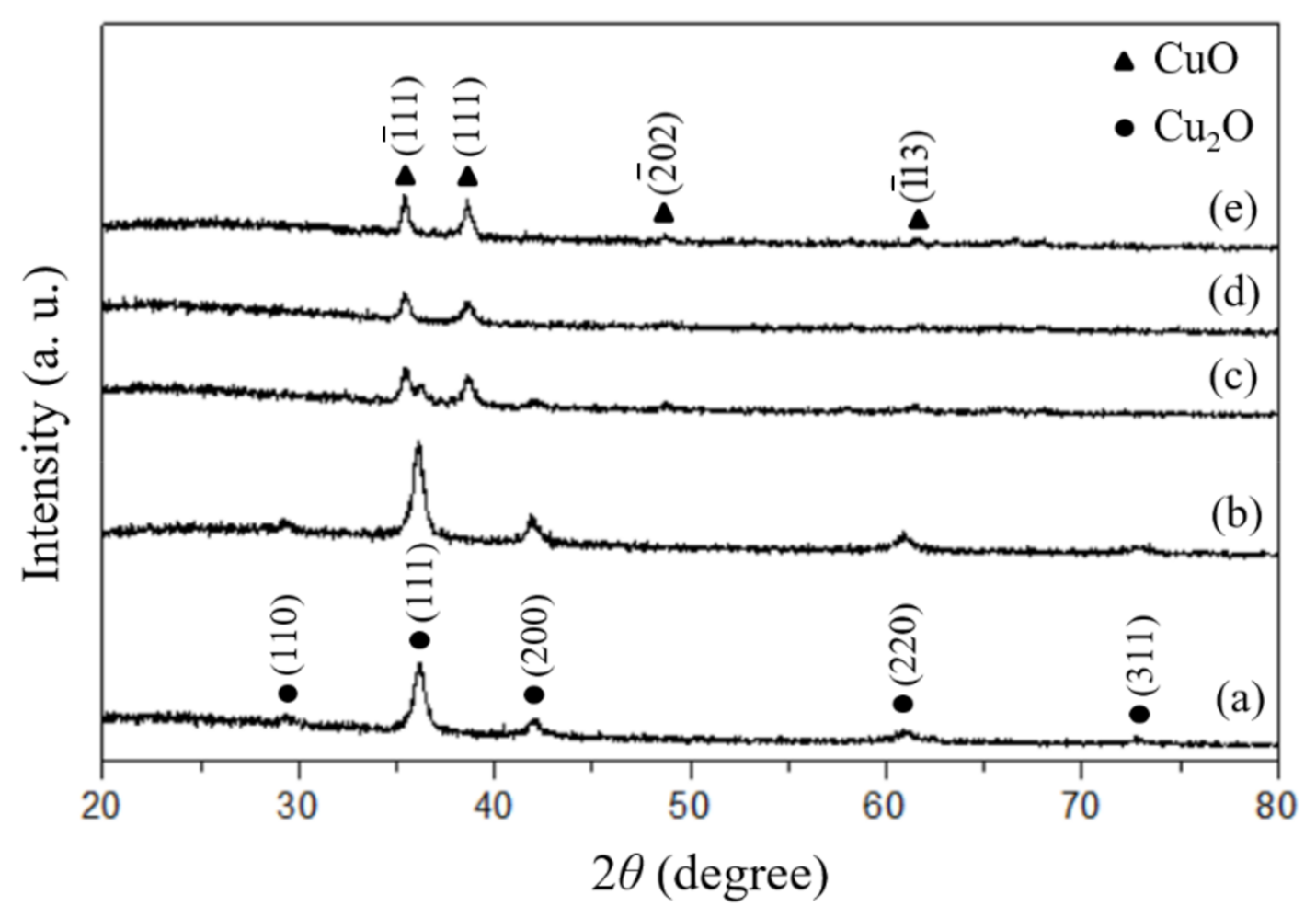 Coatings 11 00864 g001