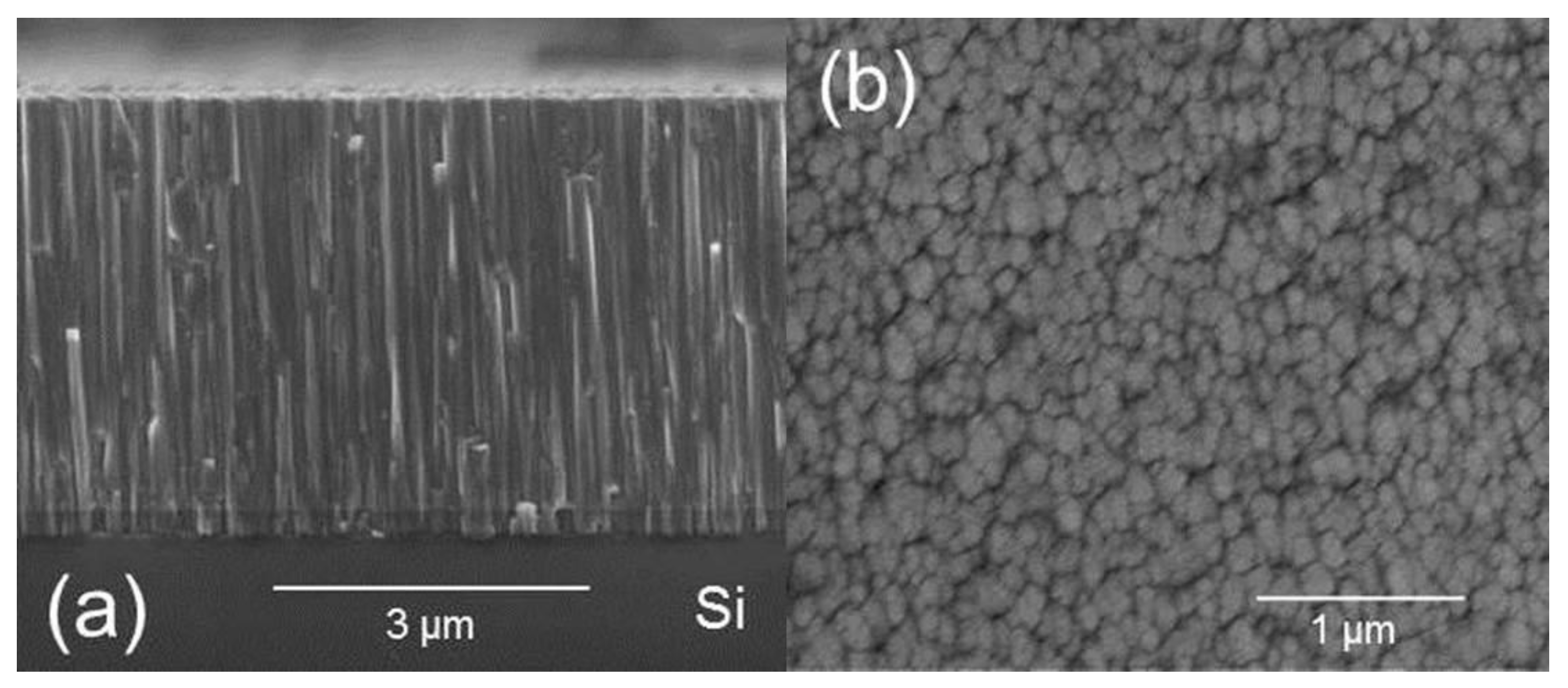 Coatings 11 00867 g001