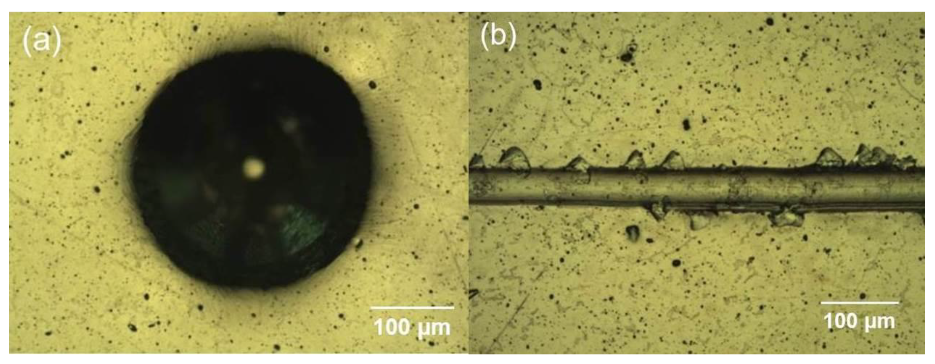 Coatings 11 00867 g002
