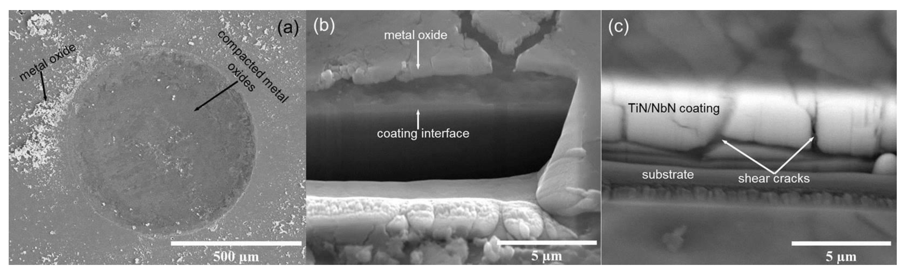 Coatings 11 00867 g006