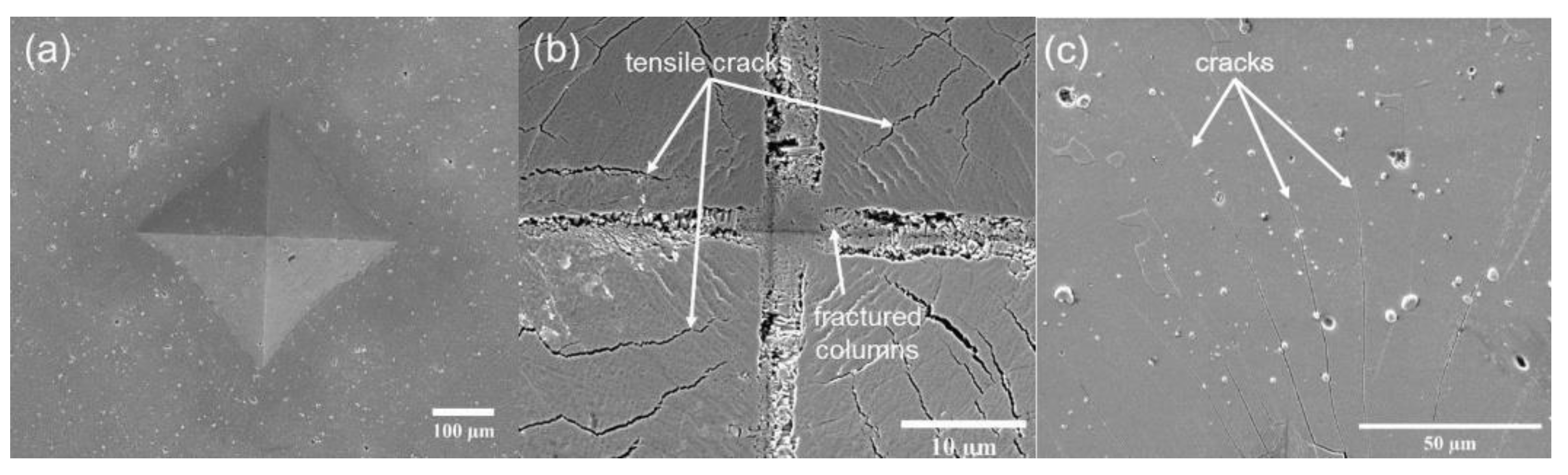 Coatings 11 00867 g008
