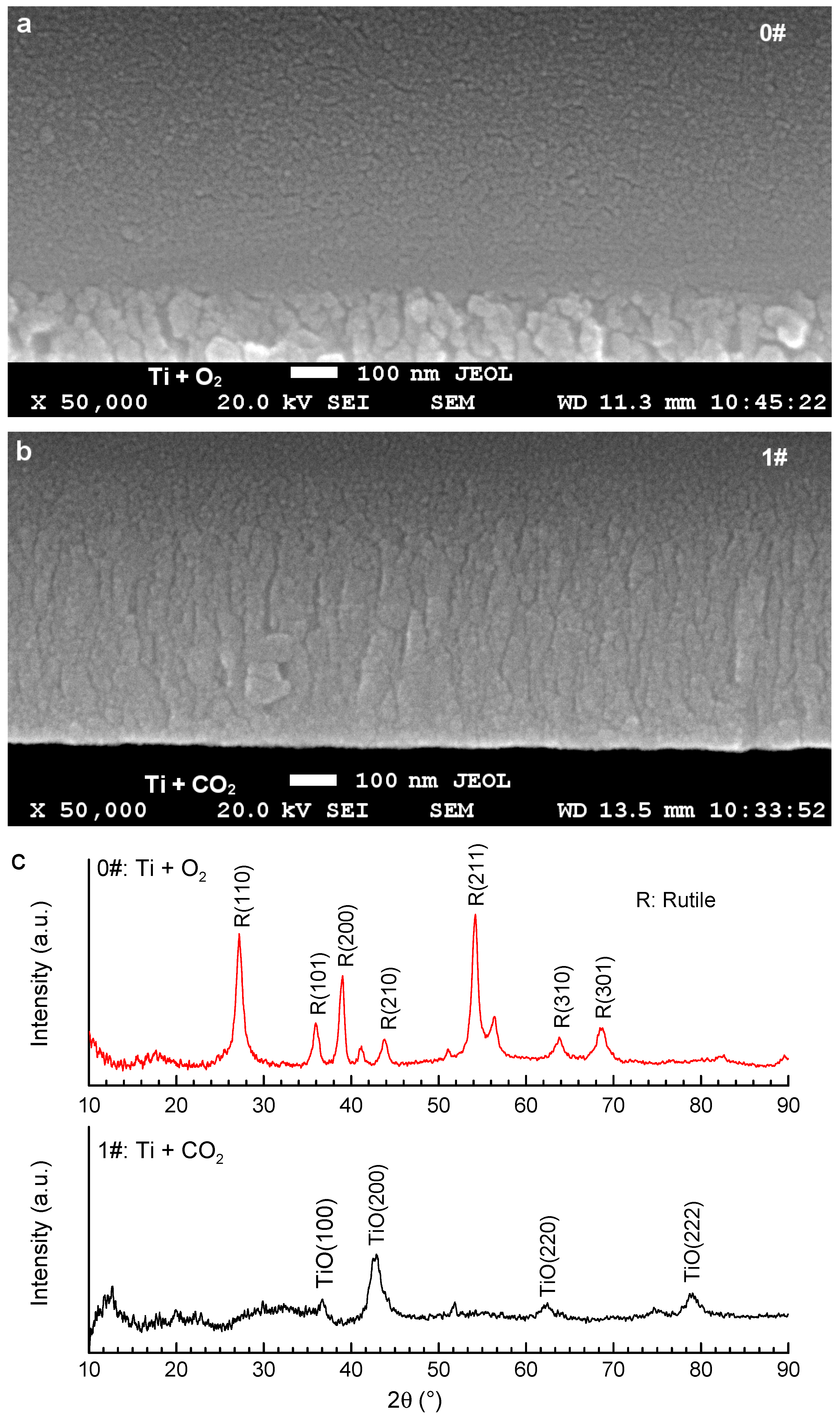 Coatings 11 00881 g002