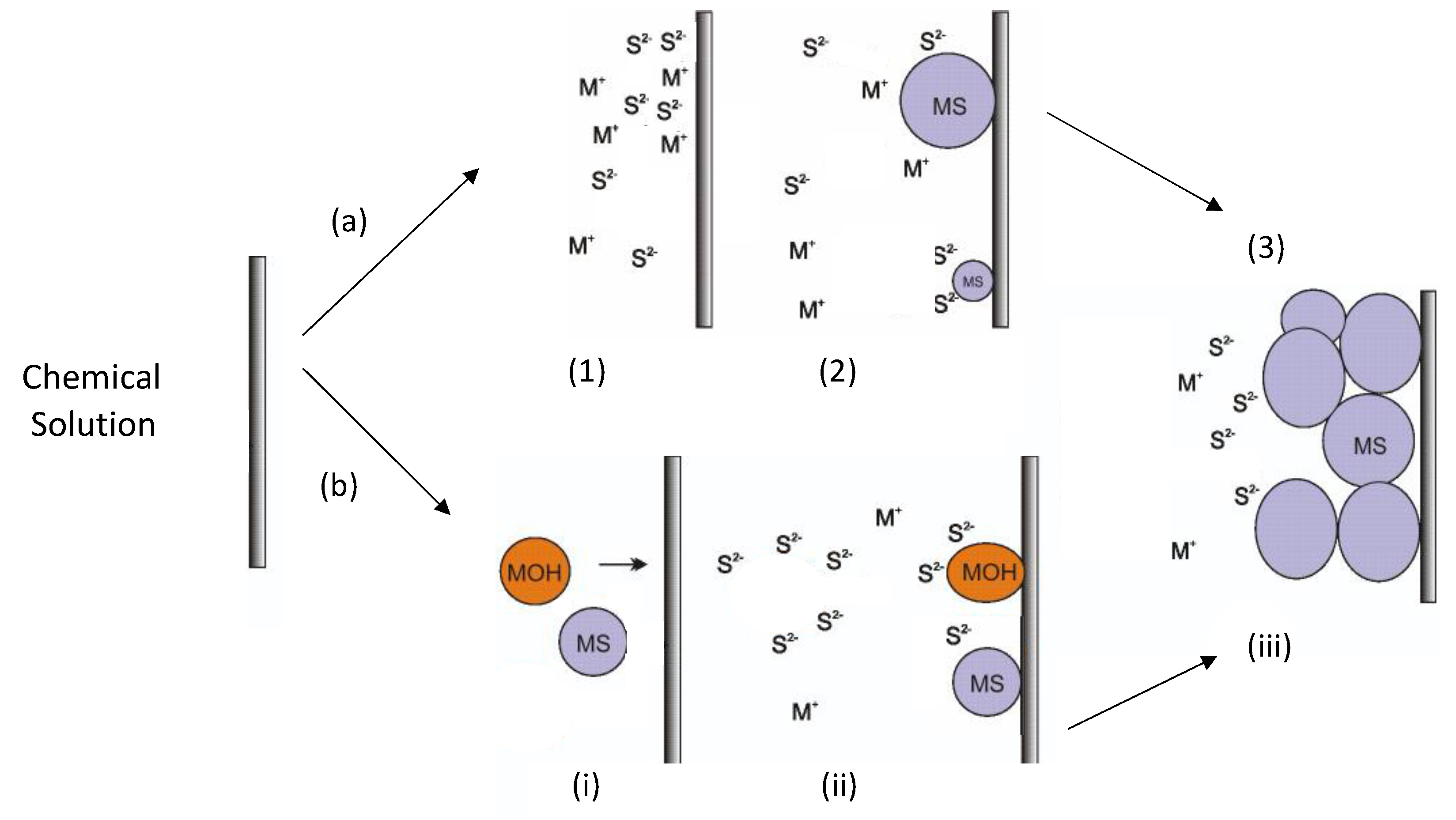 Coatings 11 00897 g001