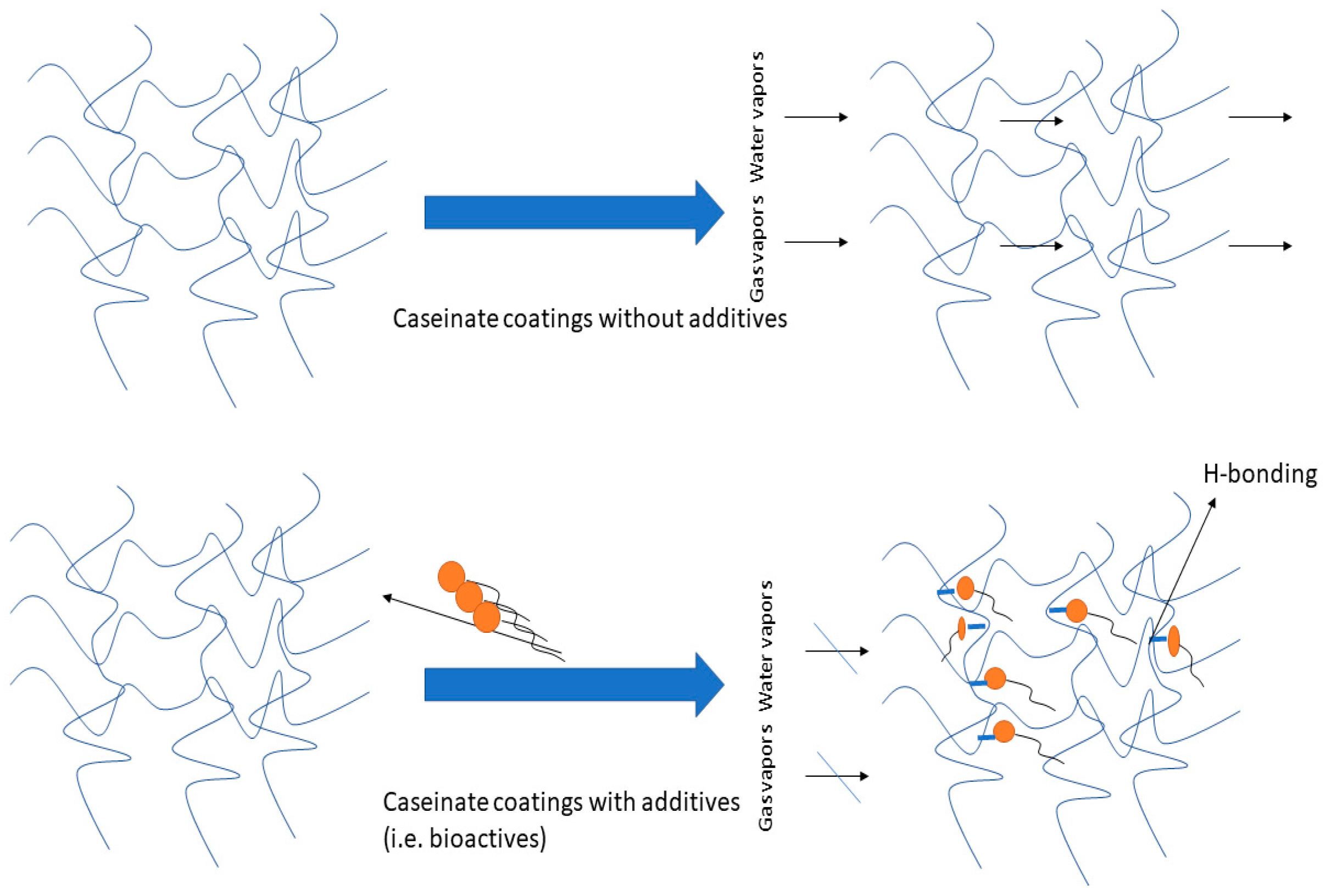 Coatings 11 00899 g005