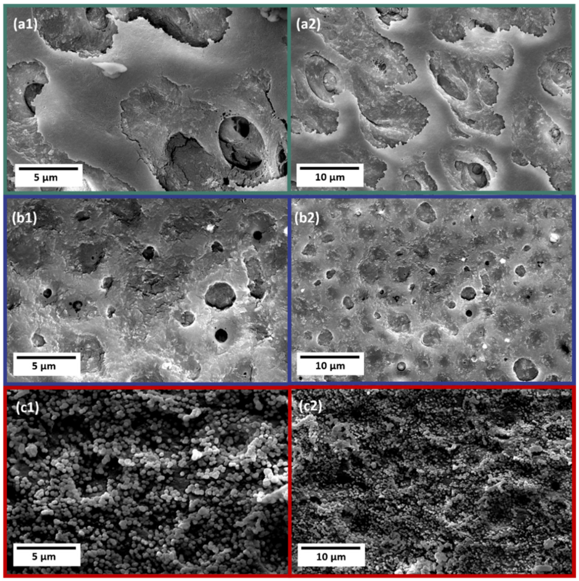 Coatings 11 00908 g001