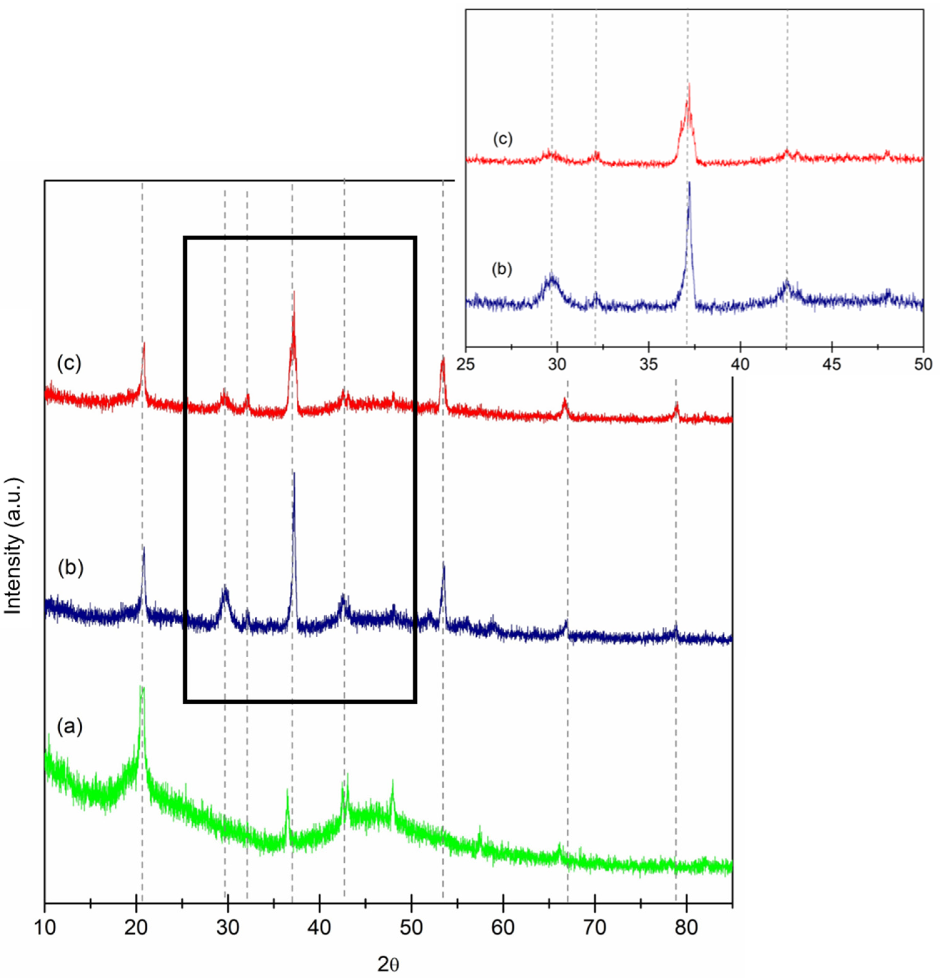 Coatings 11 00908 g002