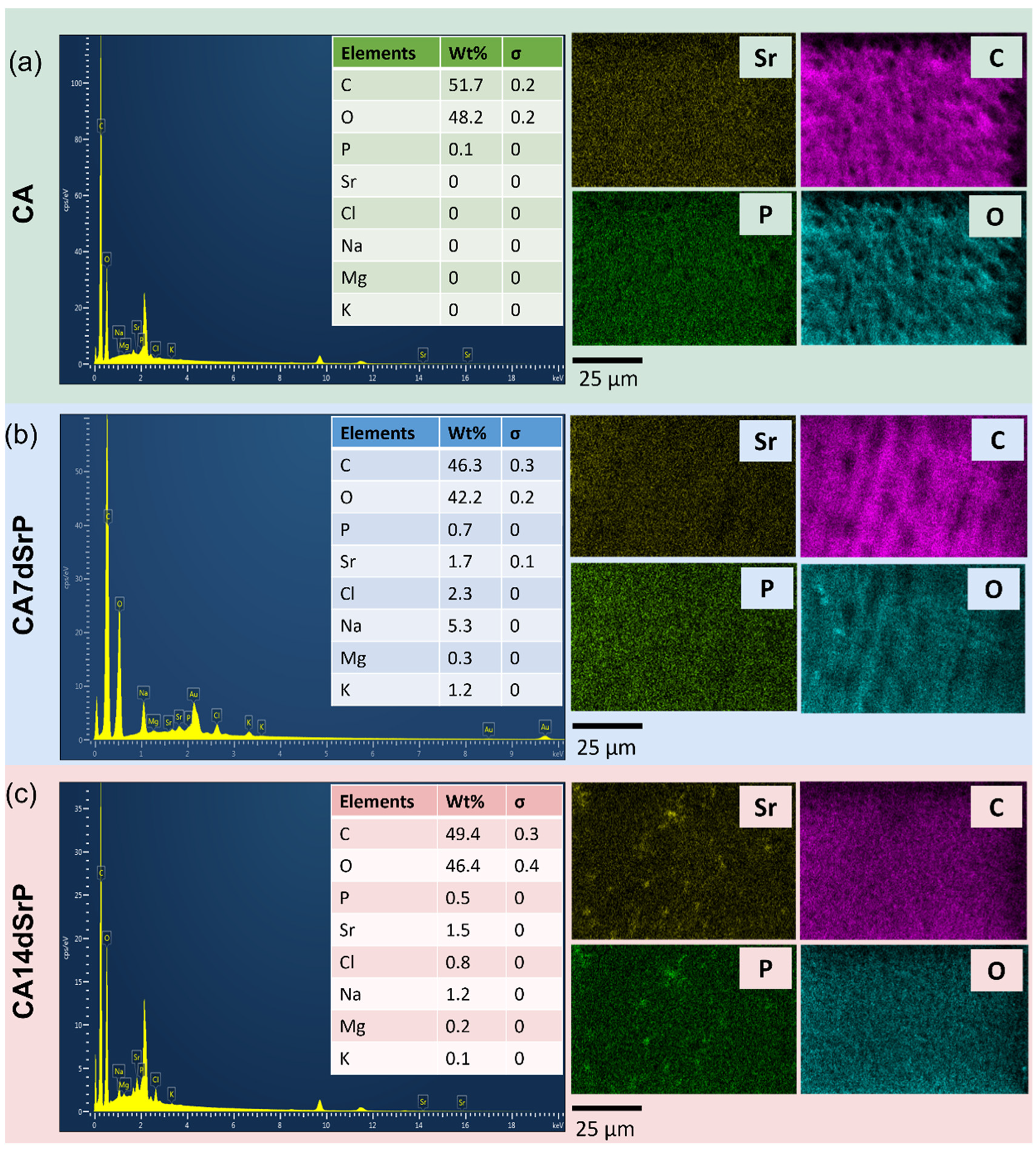 Coatings 11 00908 g005
