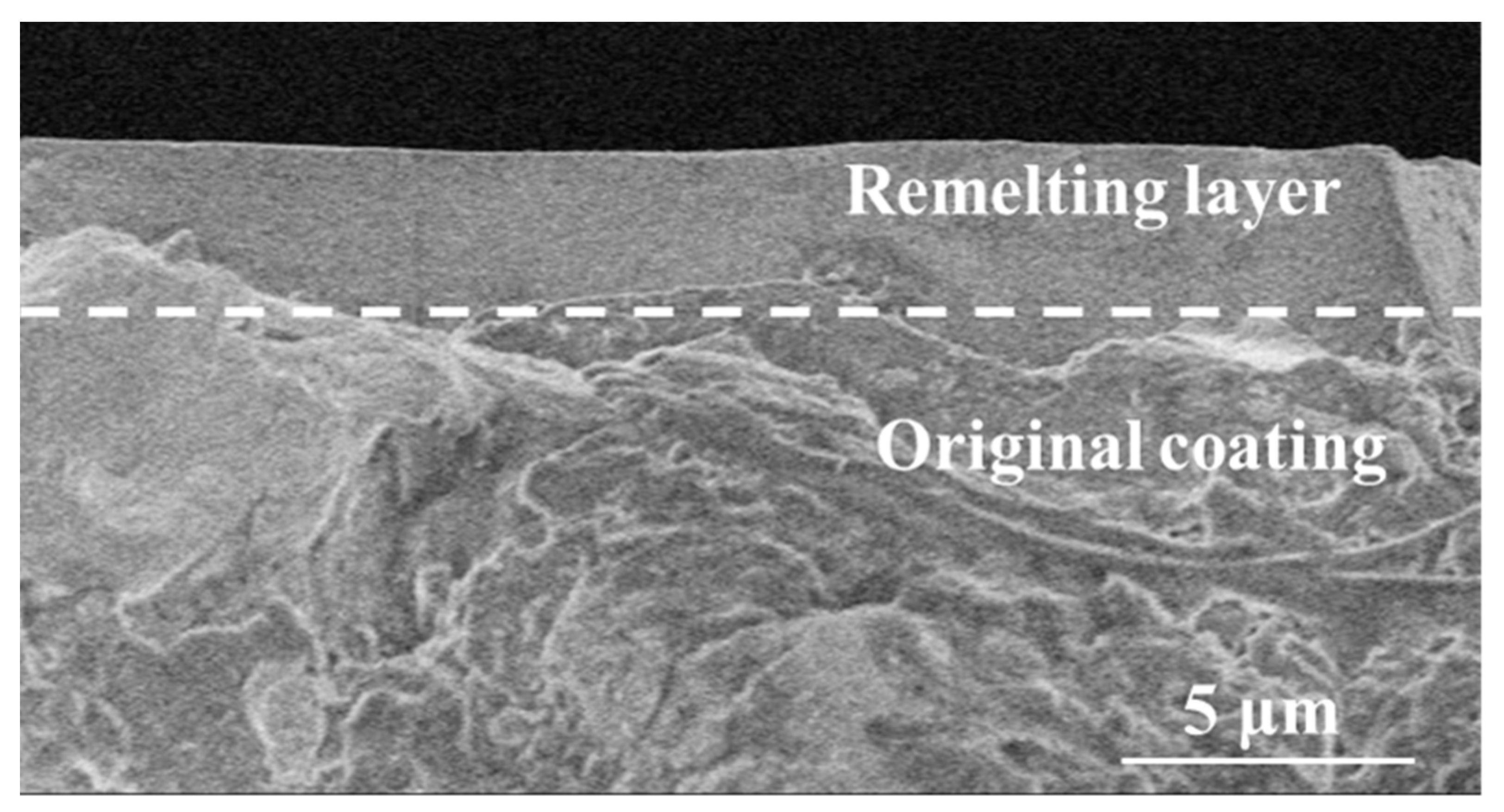 Coatings 11 00912 g003