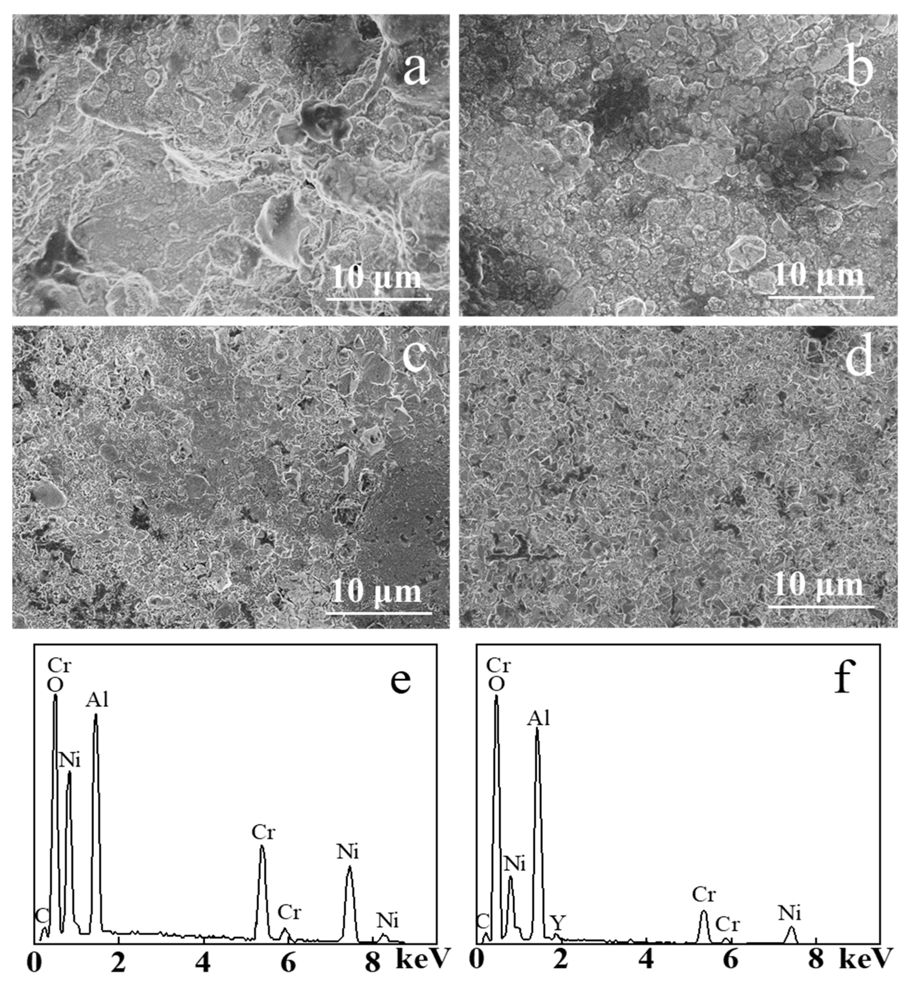 Coatings 11 00912 g005