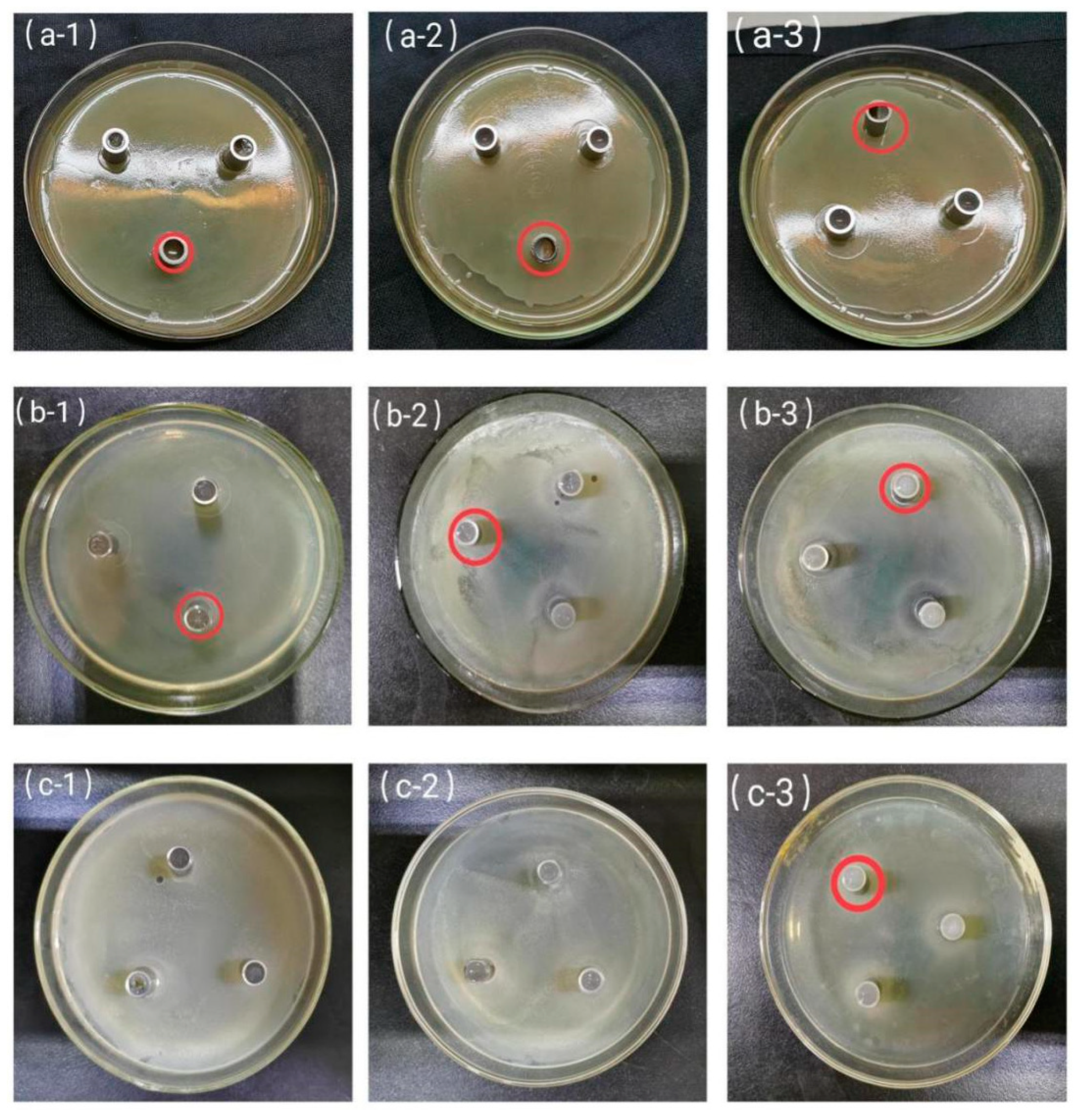 Coatings 11 00914 g005 Coatings 11 00914 g005