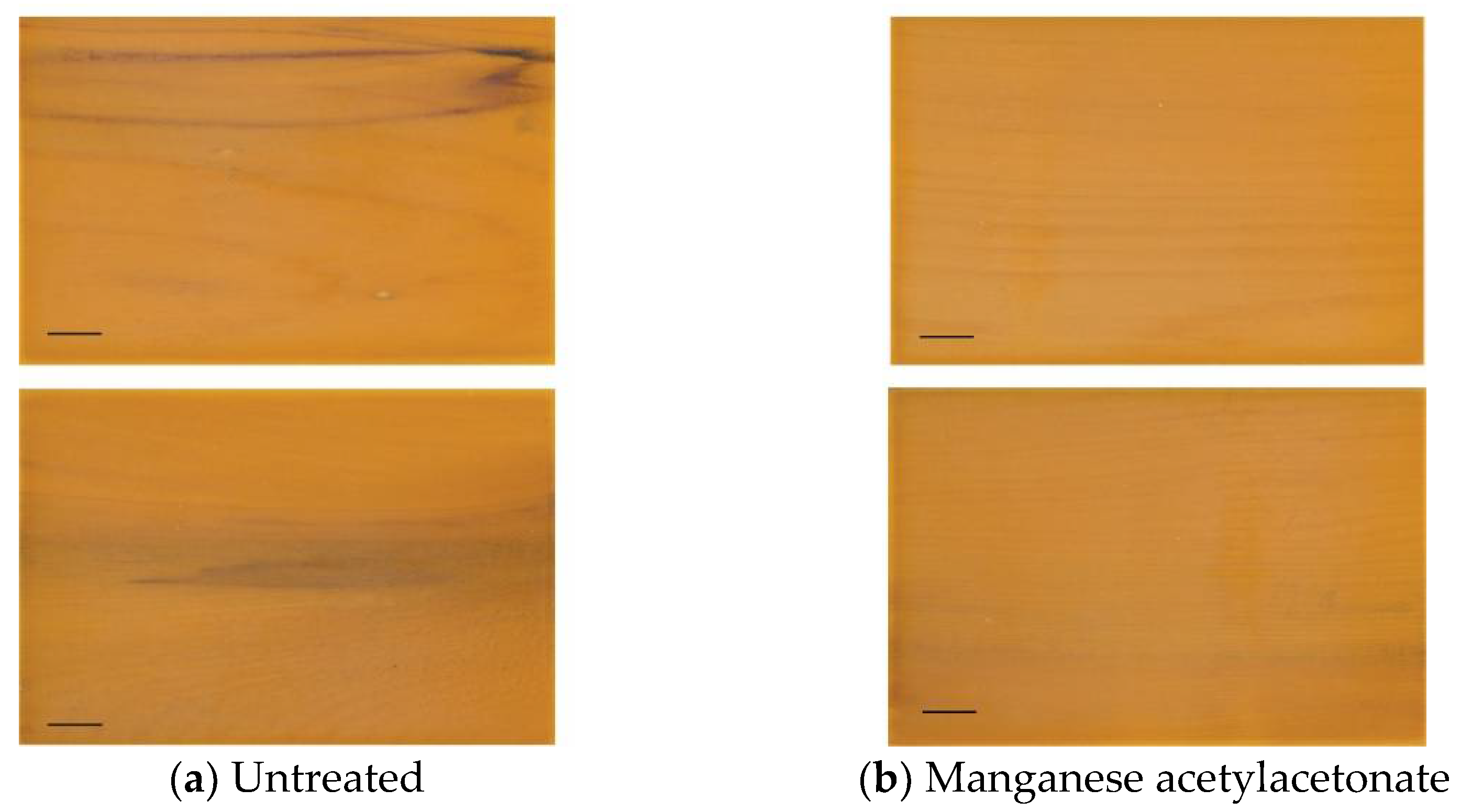 Coatings 11 00916 g009
