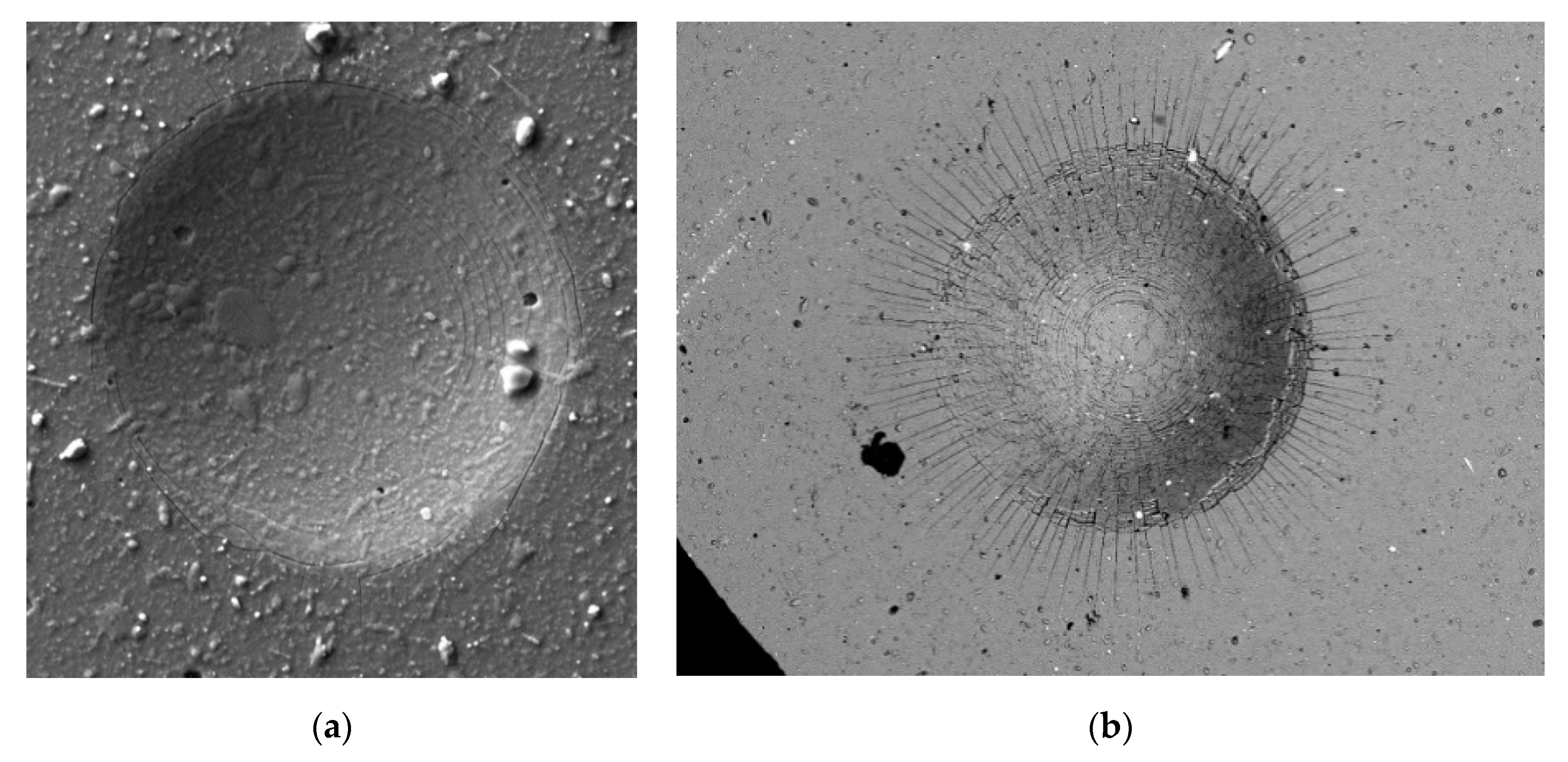 Coatings 11 00919 g001
